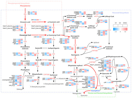 Genes | Free Full-Text | Transcriptome Analysis on the Quality of ...