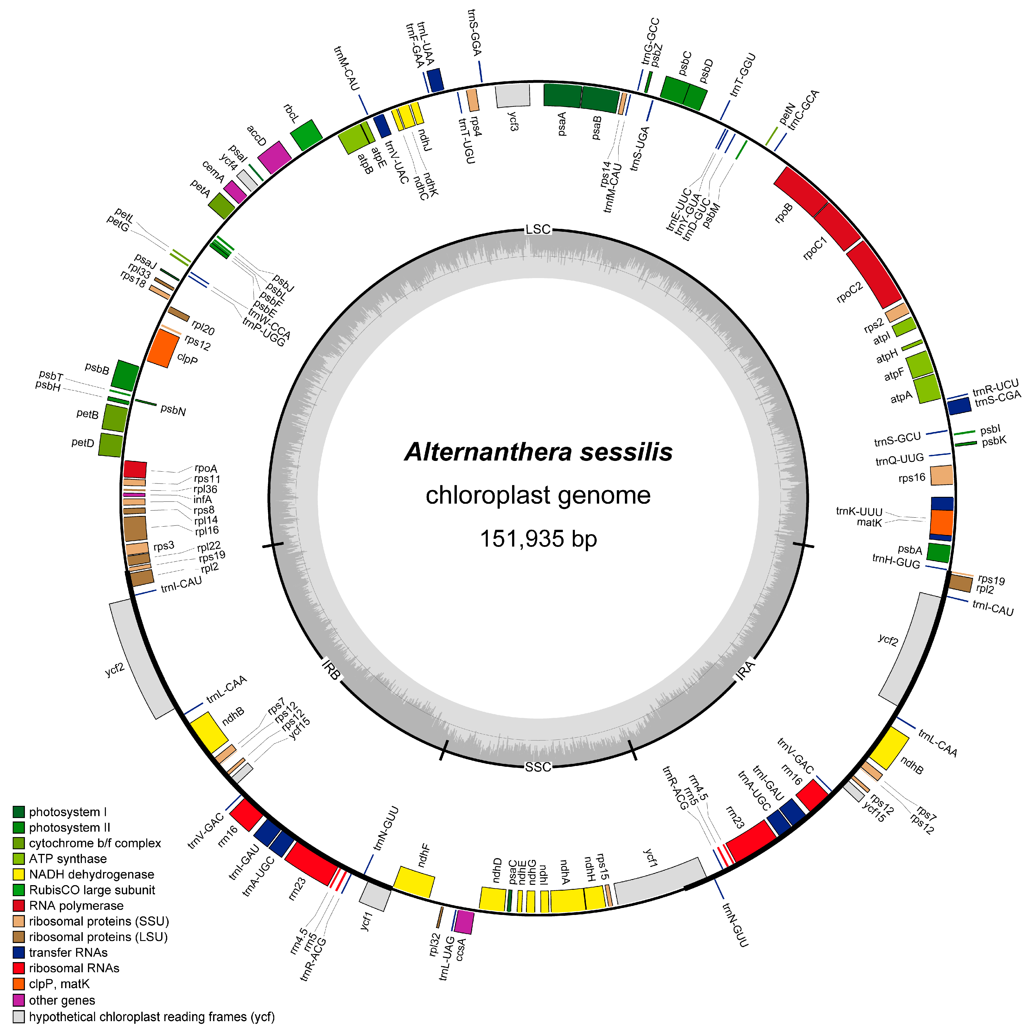 Genes 15 00544 g001