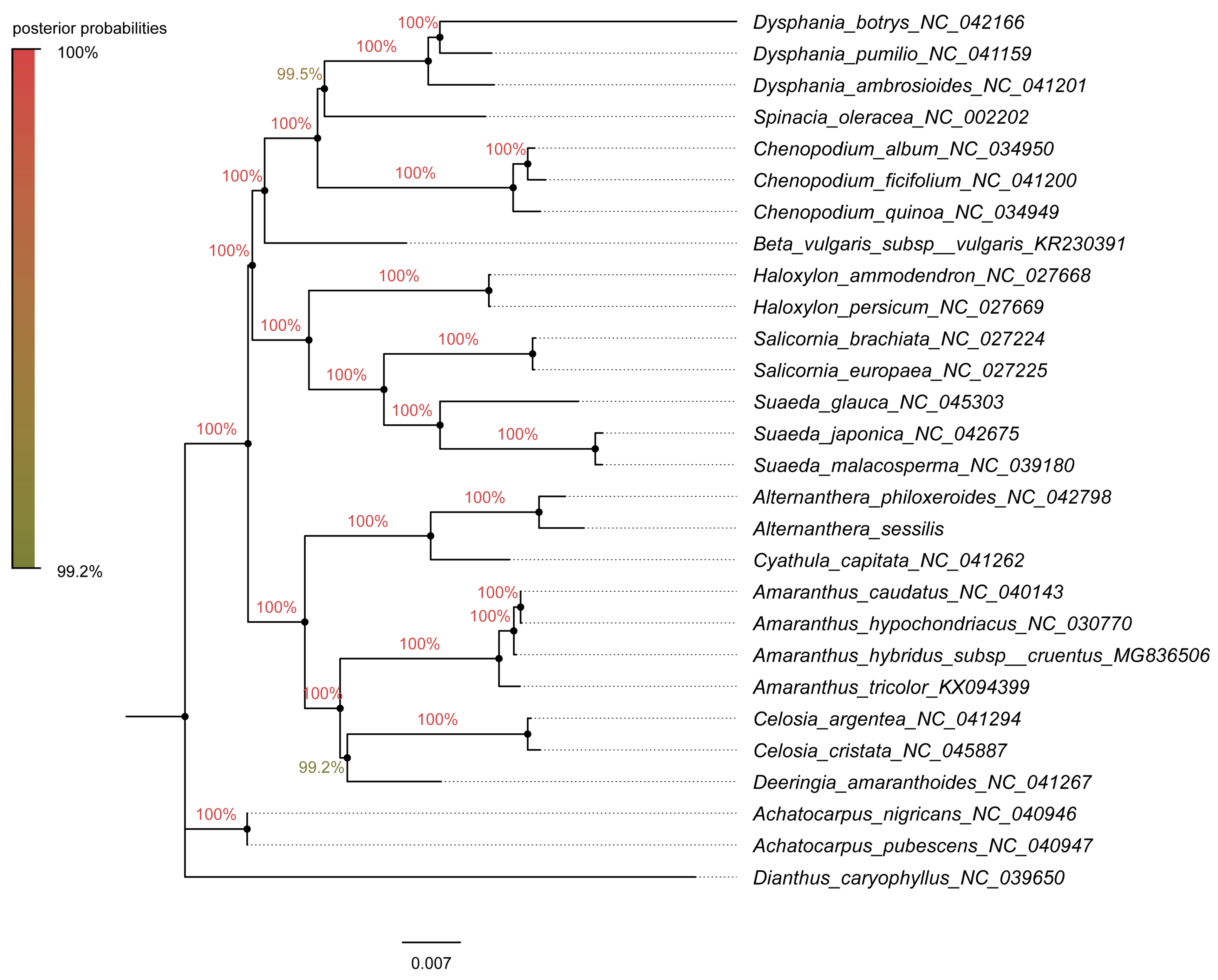 Genes 15 00544 g010