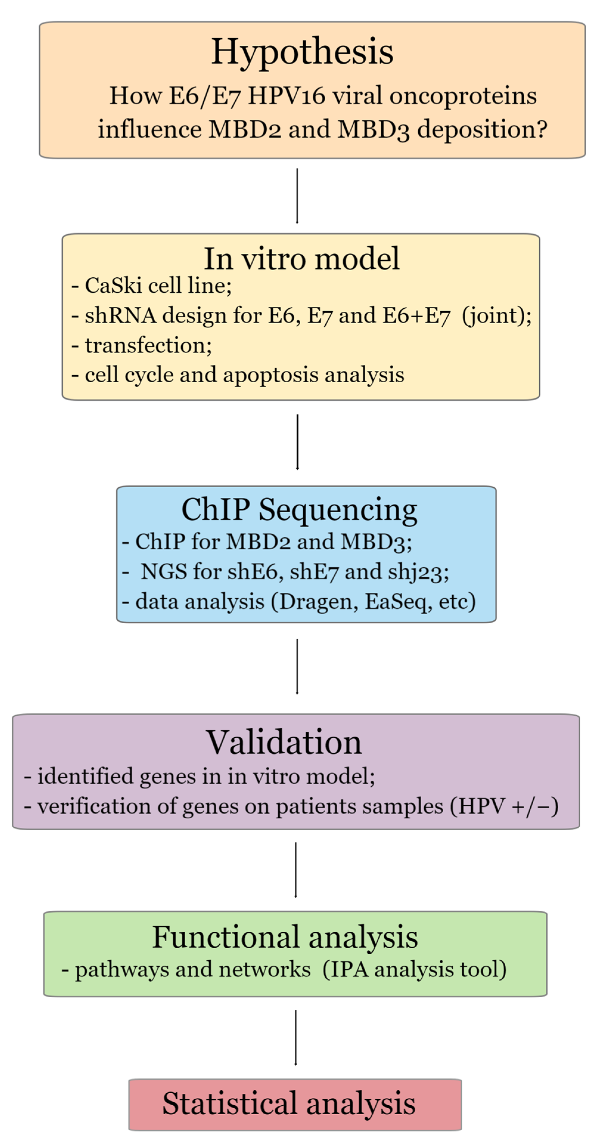 Genes | Free Full-Text | Exploring the Role of E6 and E7 Oncoproteins in  Cervical Oncogenesis through MBD2/3-NuRD Complex Chromatin Remodeling