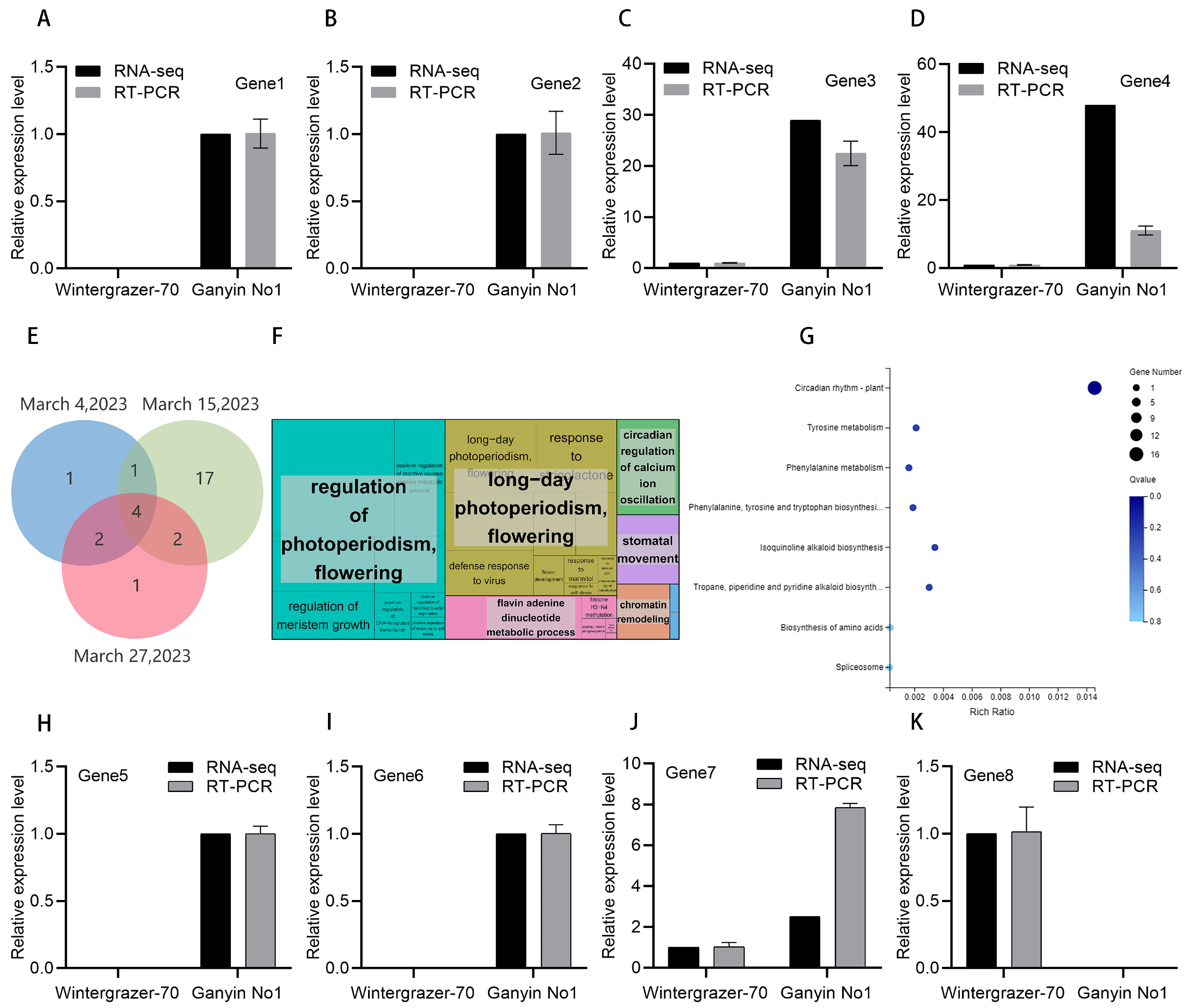 Genes 15 00572 g005