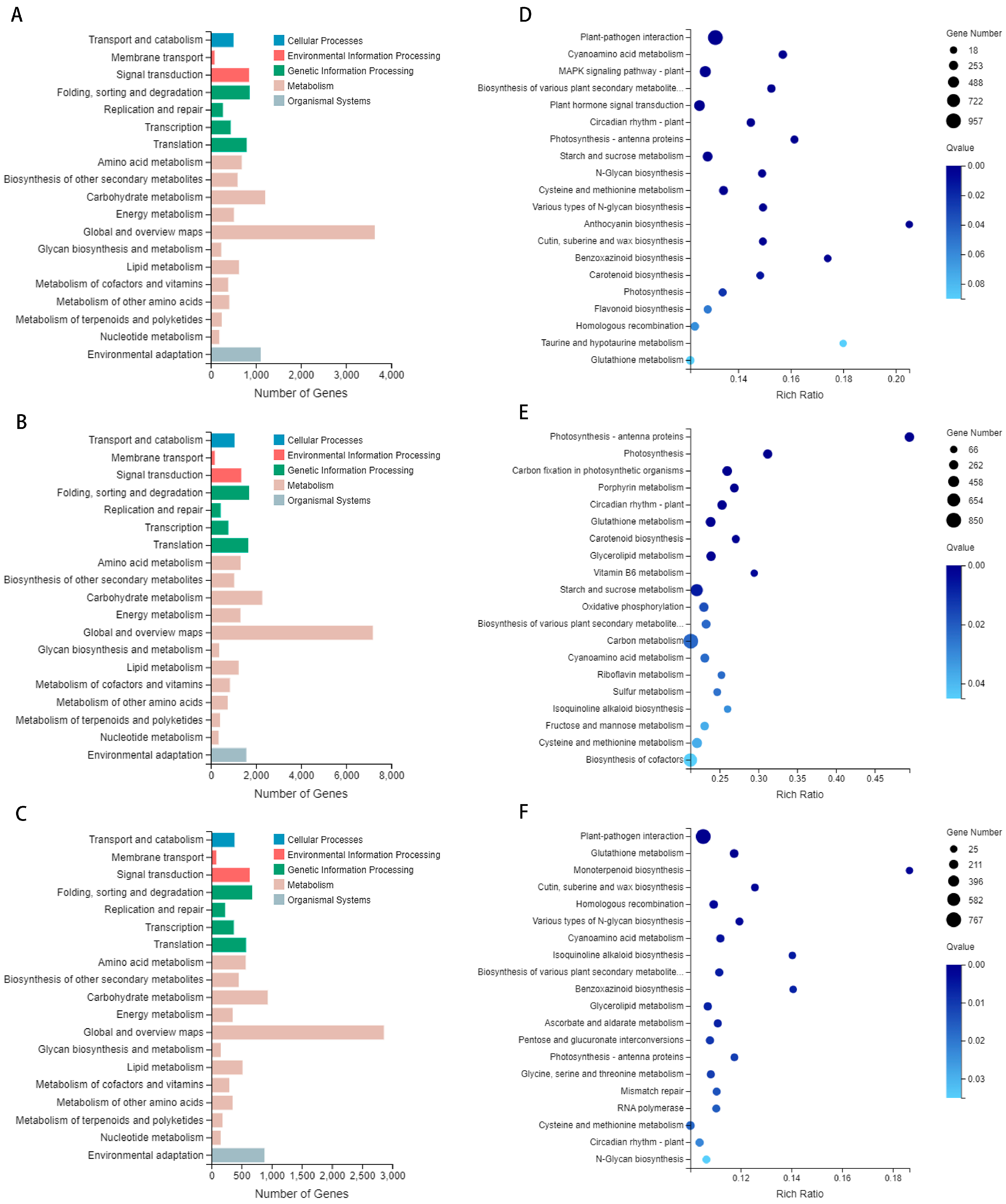 Genes 15 00572 g006