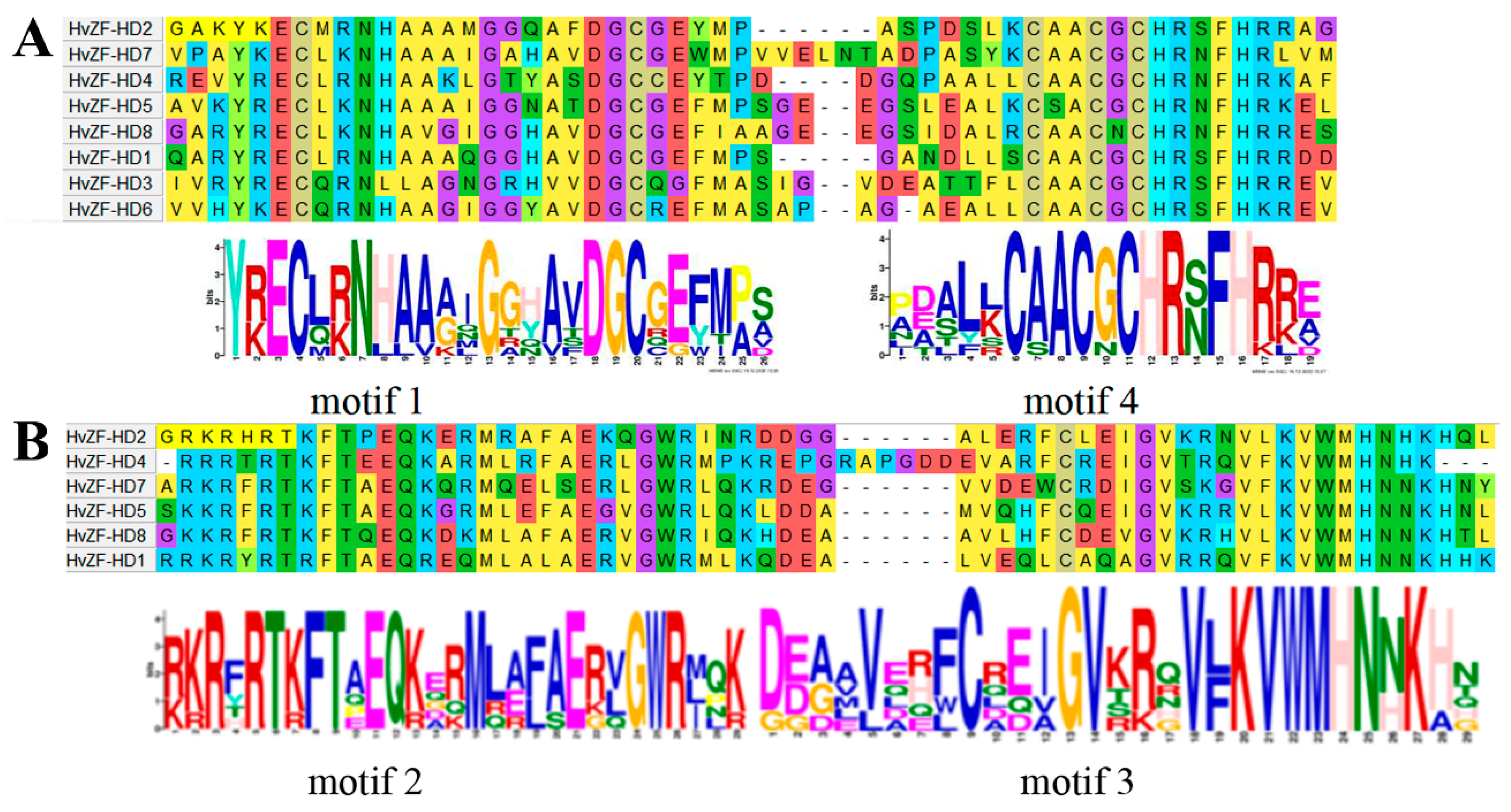 Genes 15 00578 g005