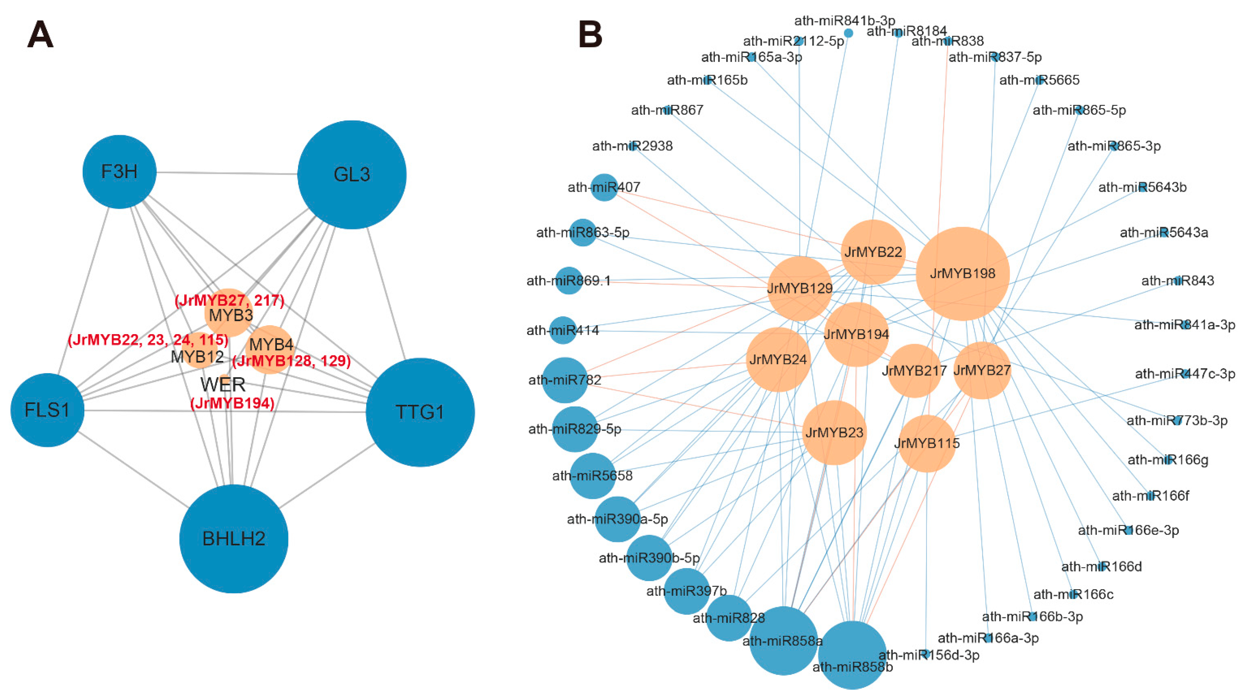 Genes 15 00587 g010