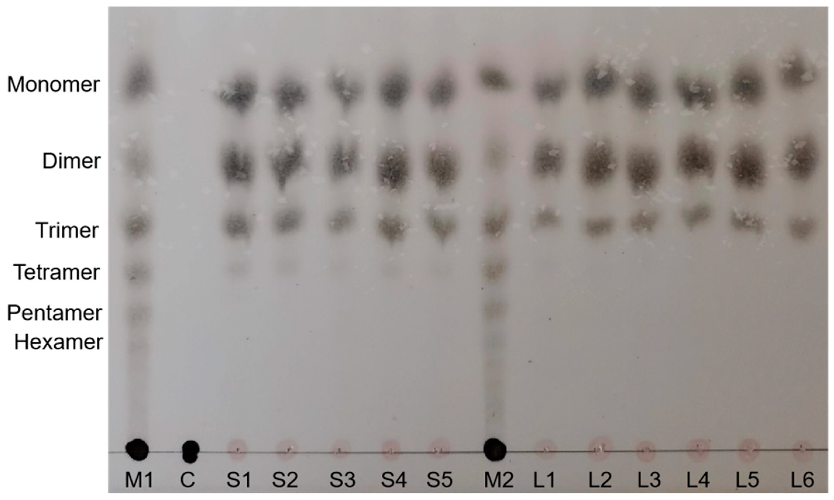 Genes | Free Full-Text | Expression and Characterization of an Efficient  Alginate Lyase from Psychromonas sp. SP041 through Metagenomics Analysis of  Rotten Kelp