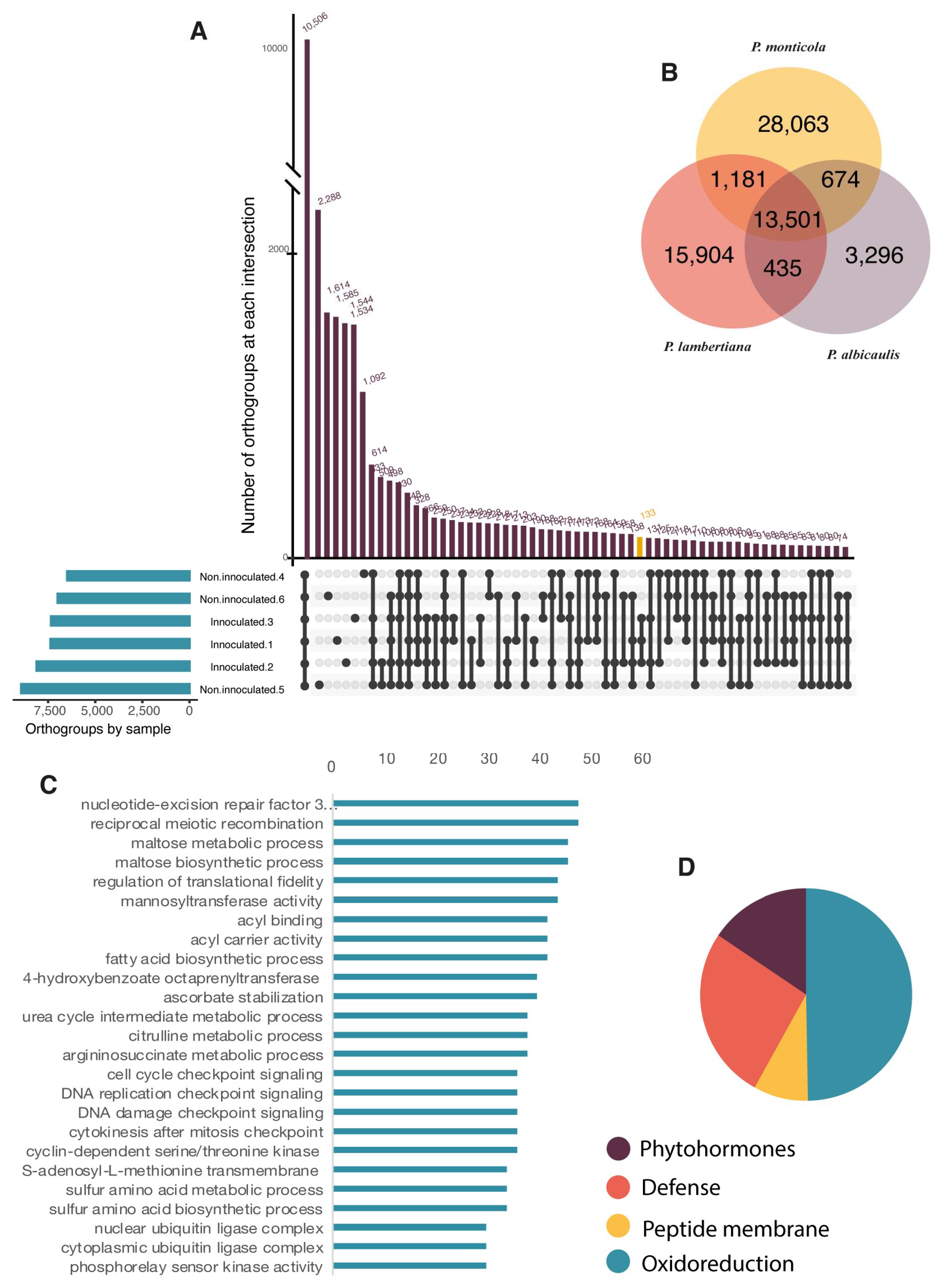 Genes 15 00602 g007