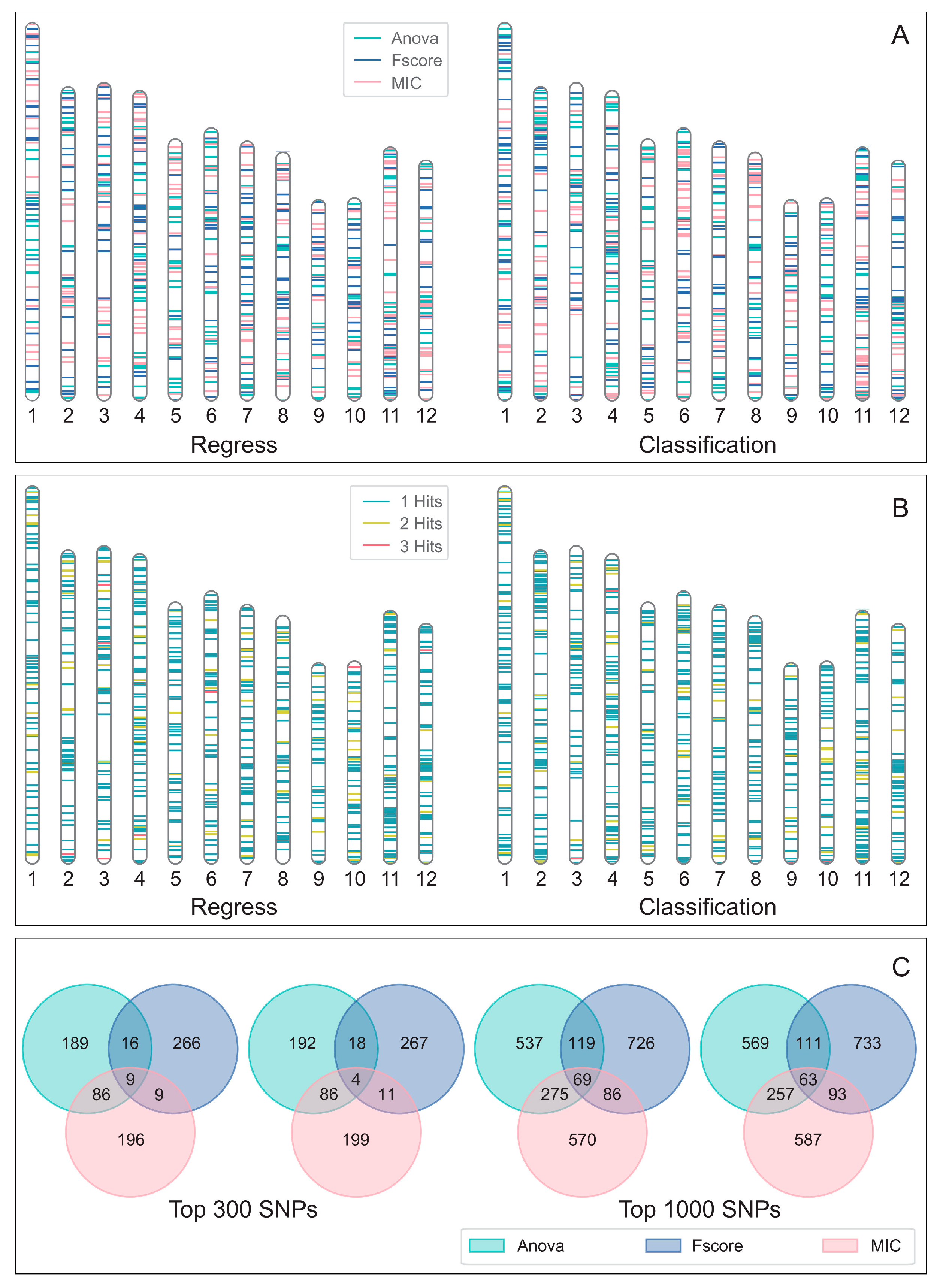 Genes 15 00603 g004