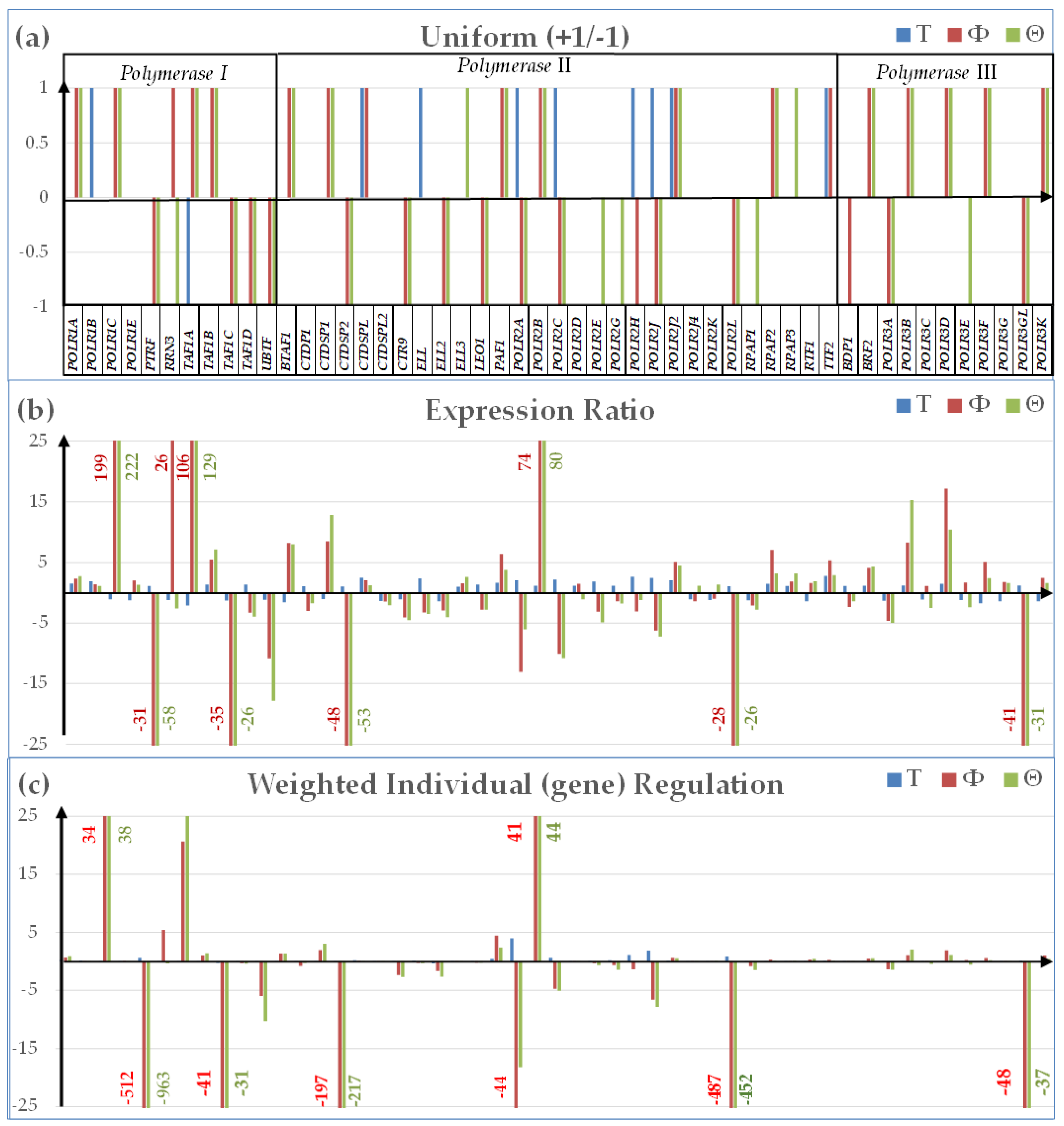 Genes 15 00621 g002