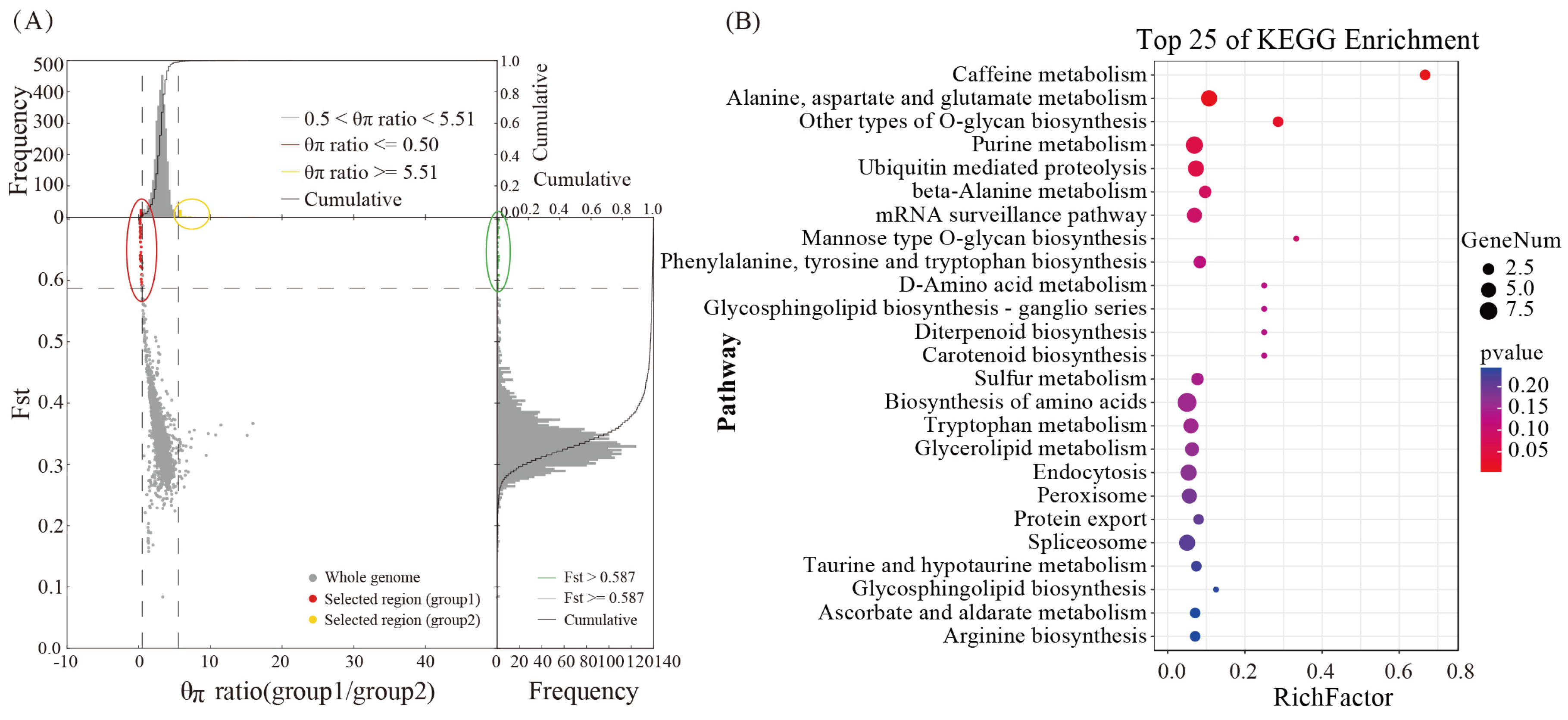 Genes 15 00626 g003
