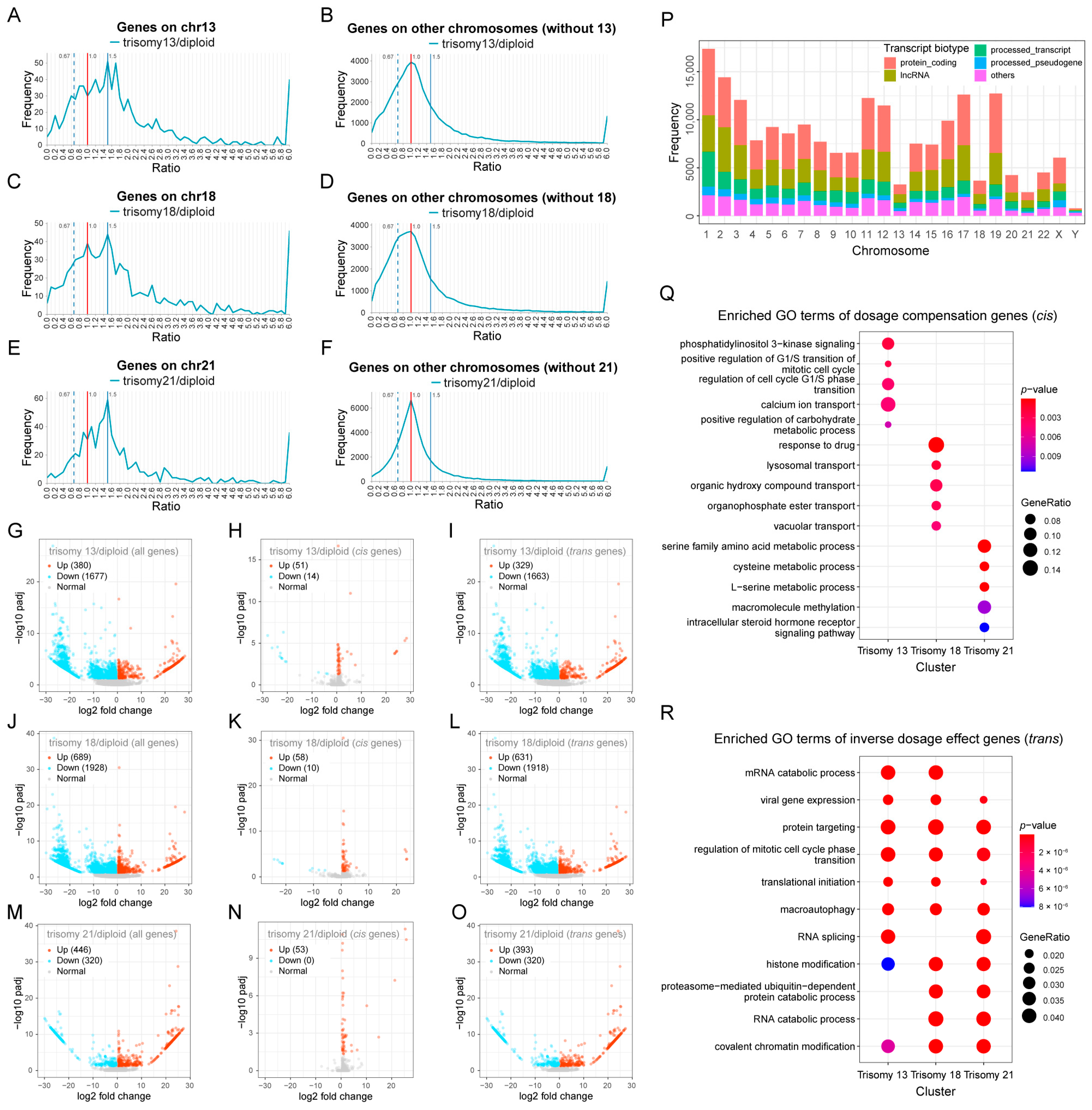 Genes 15 00637 g001