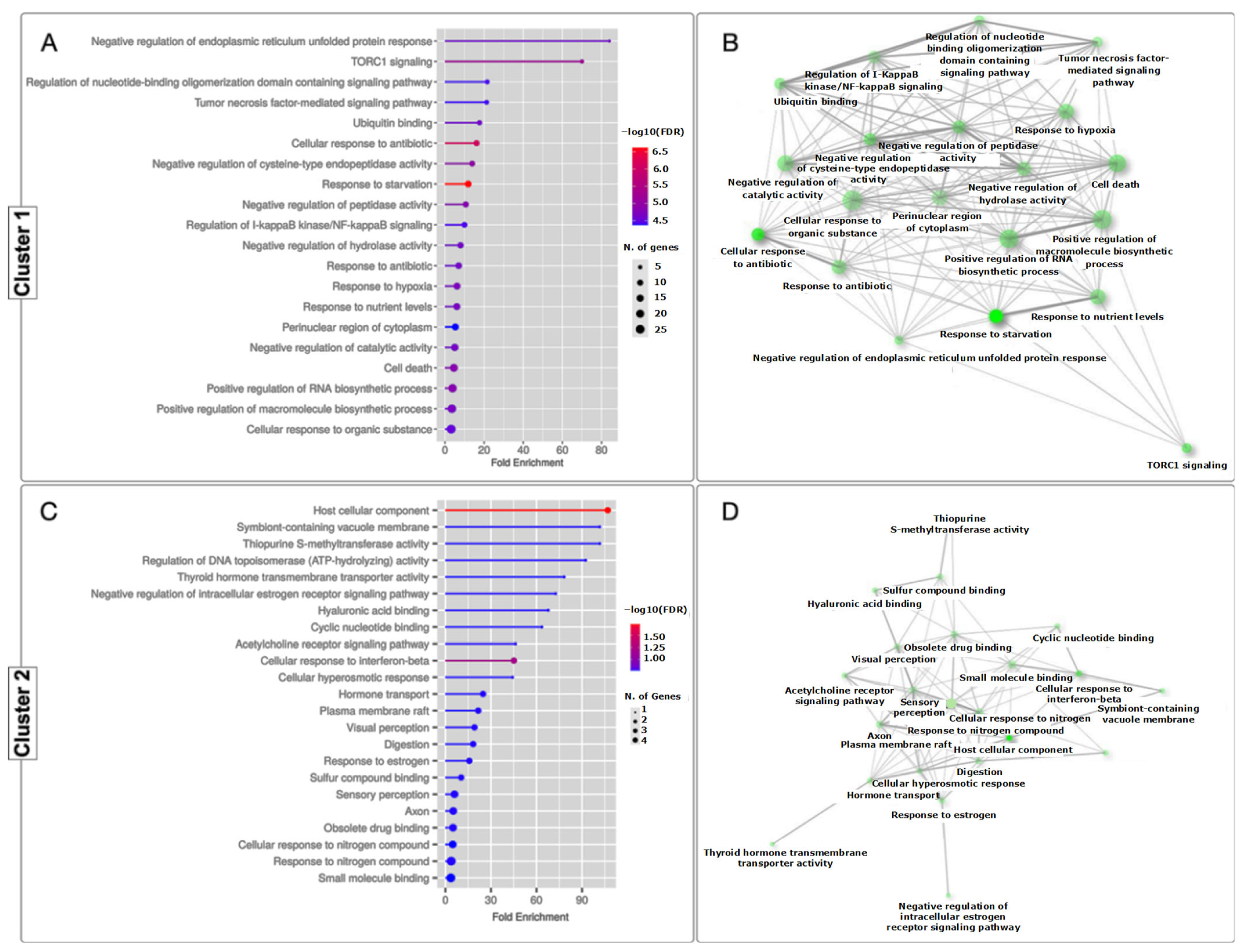 Genes 15 00658 g003 Genes 15 00658 g003