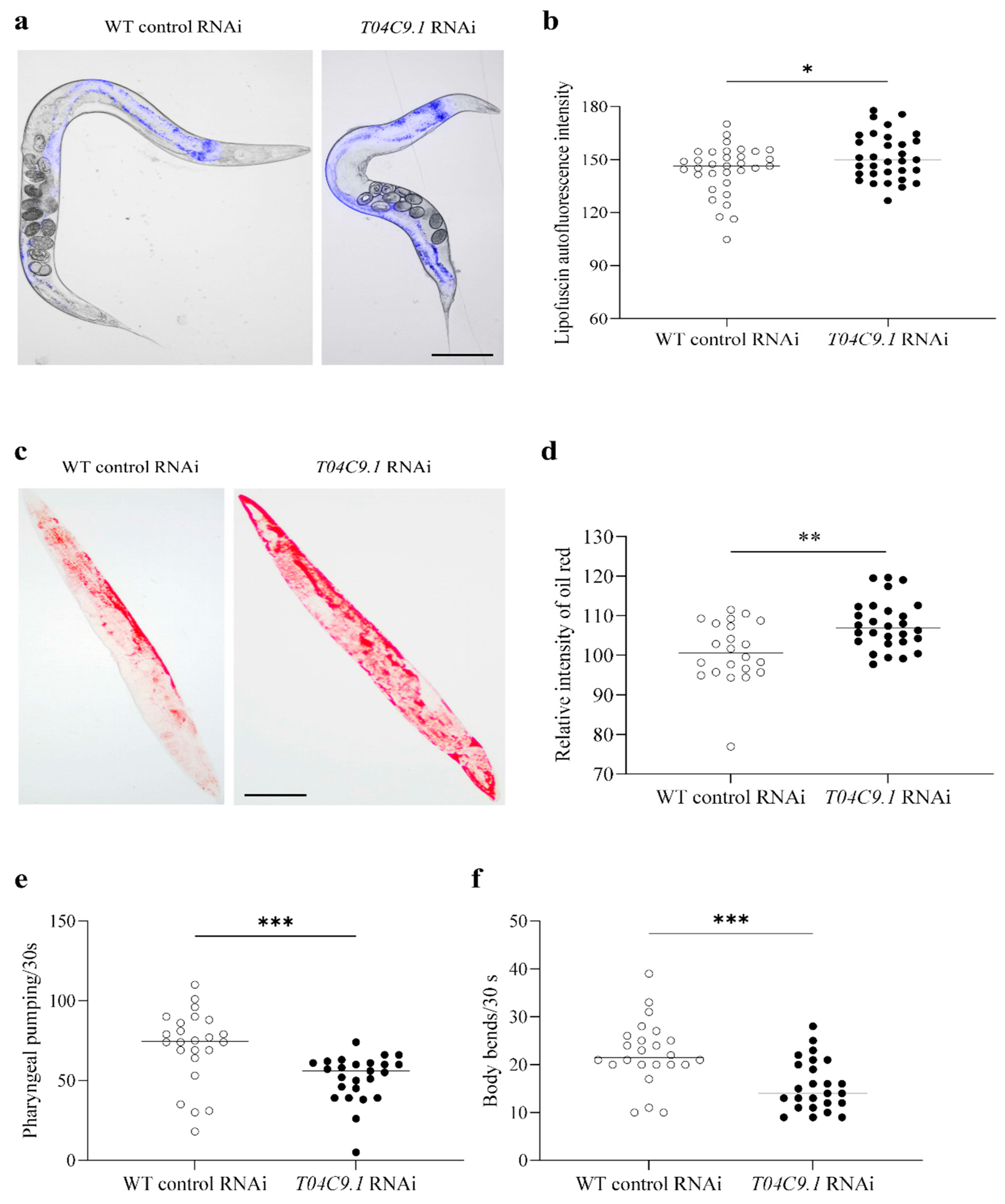 Genes 15 00659 g003