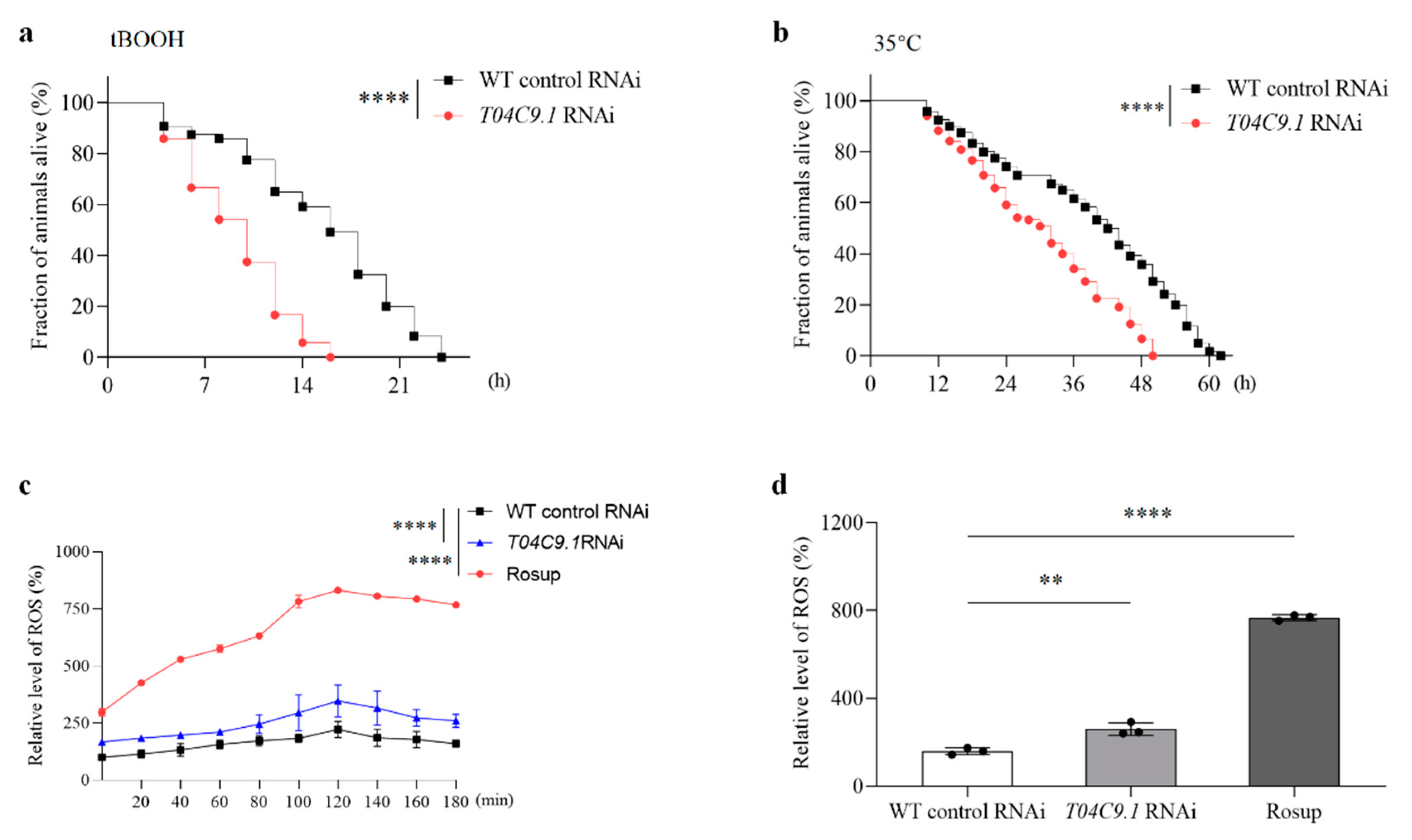Genes 15 00659 g004