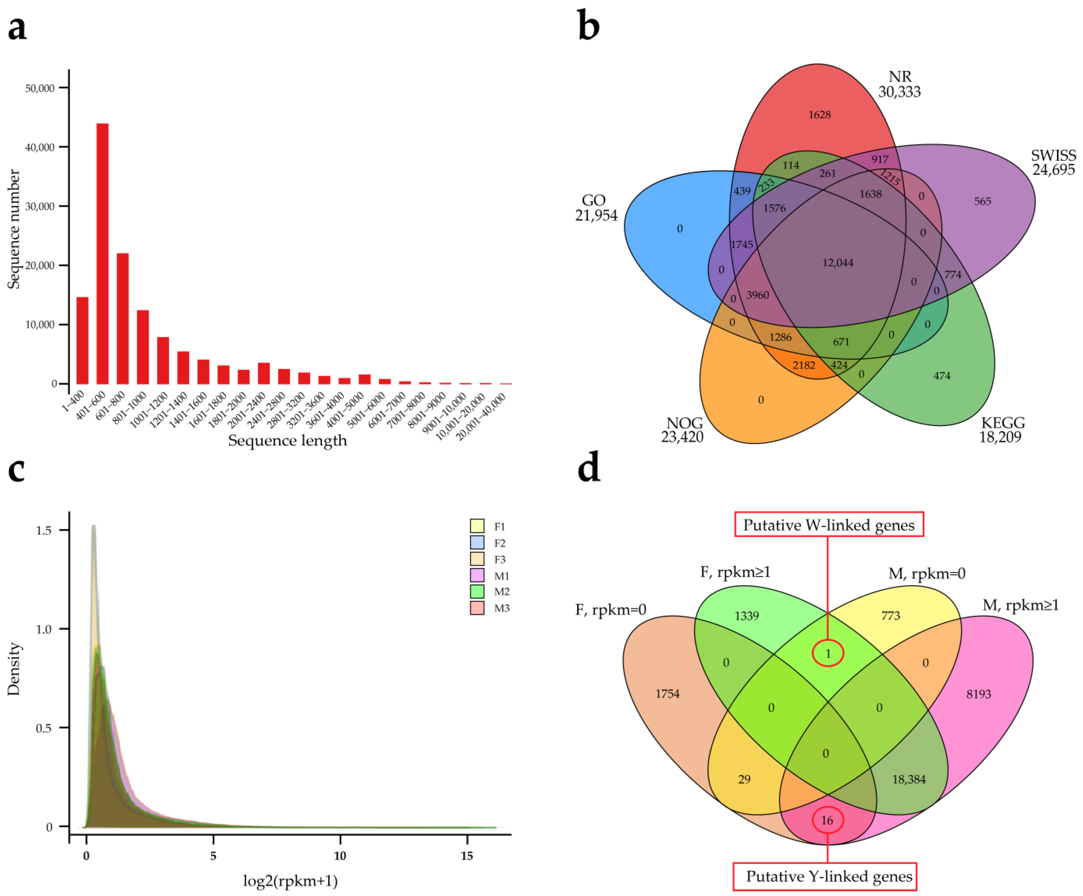 Genes 15 00664 g003