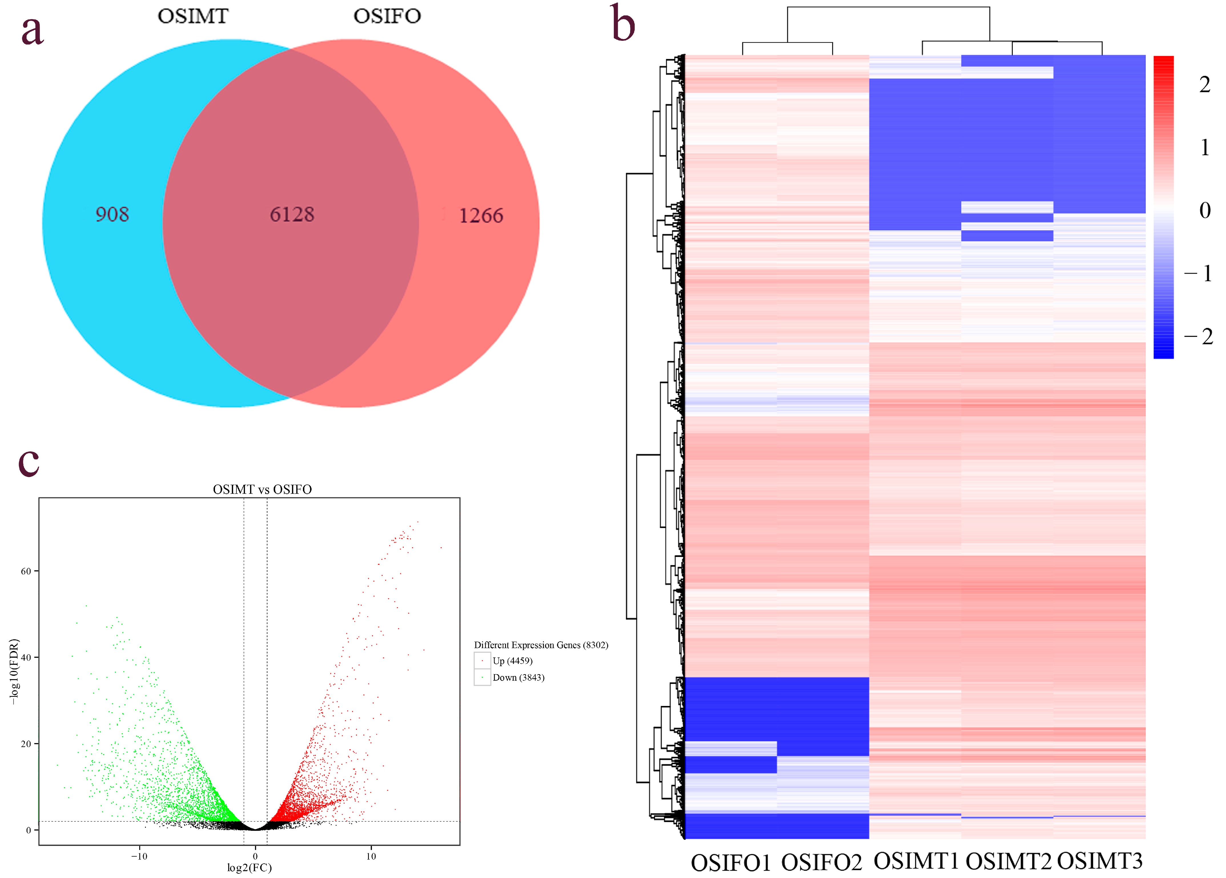 Genes 15 00682 g003
