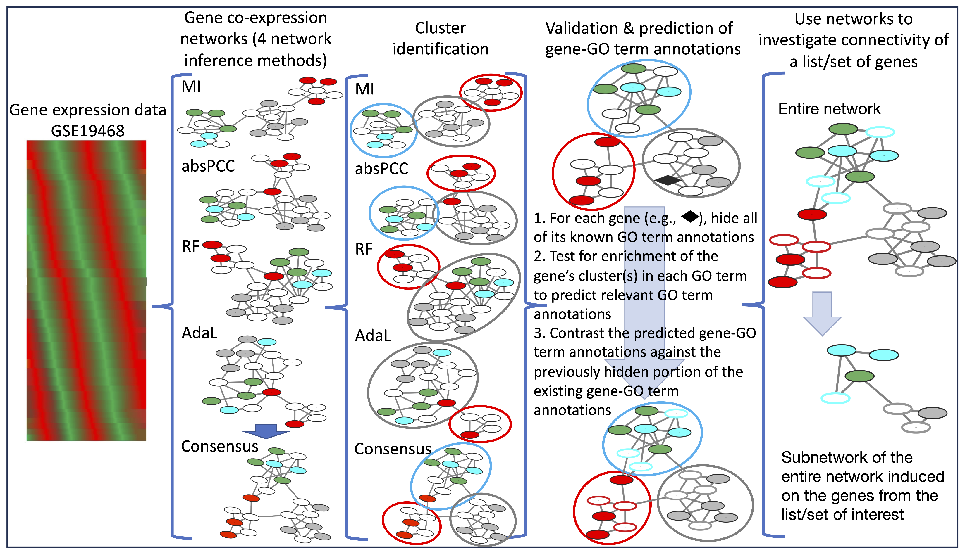 Genes 15 00685 g001 Genes 15 00685 g001