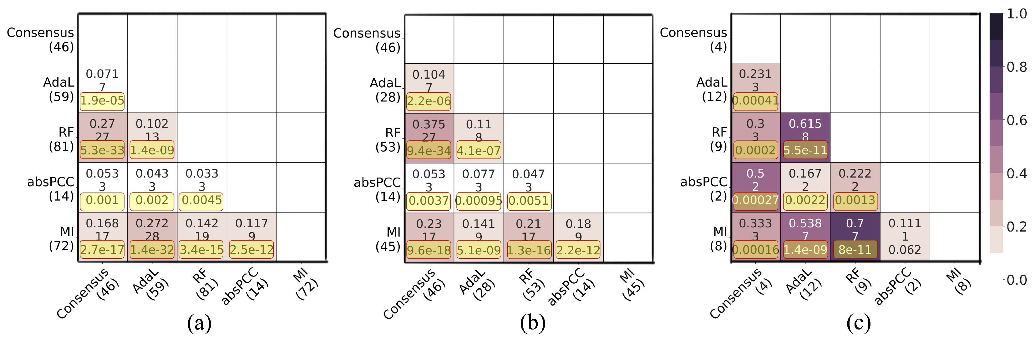 Genes 15 00685 g004 Genes 15 00685 g004