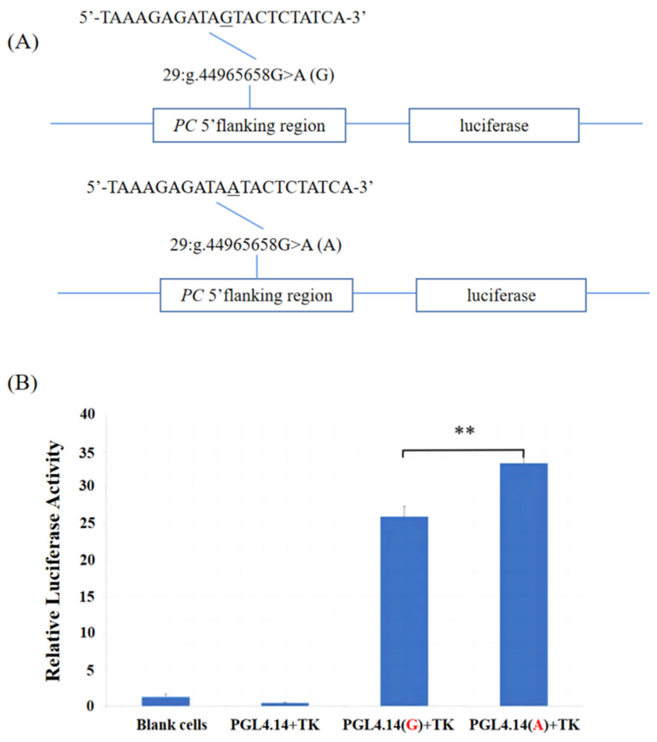Genes 15 00708 g002