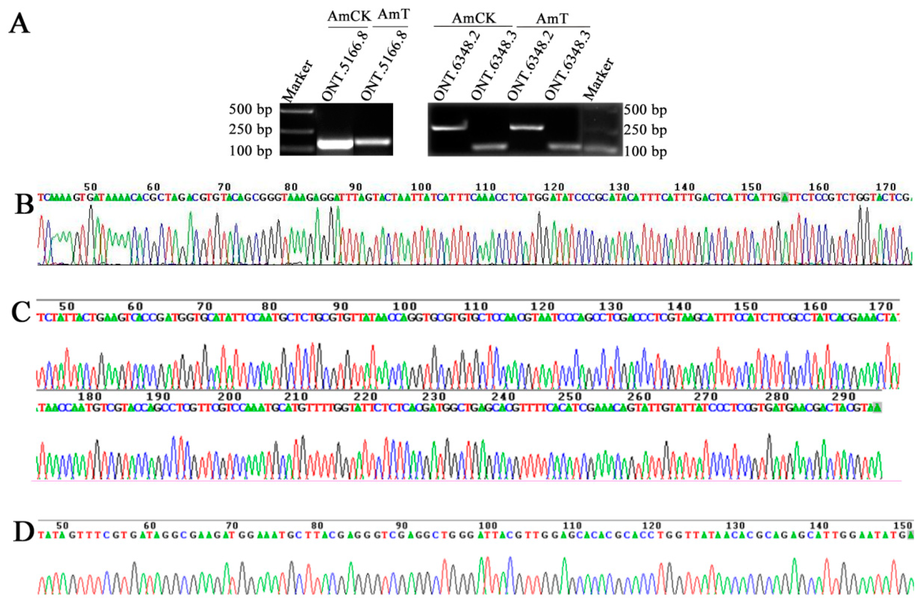 Genes 15 00728 g003