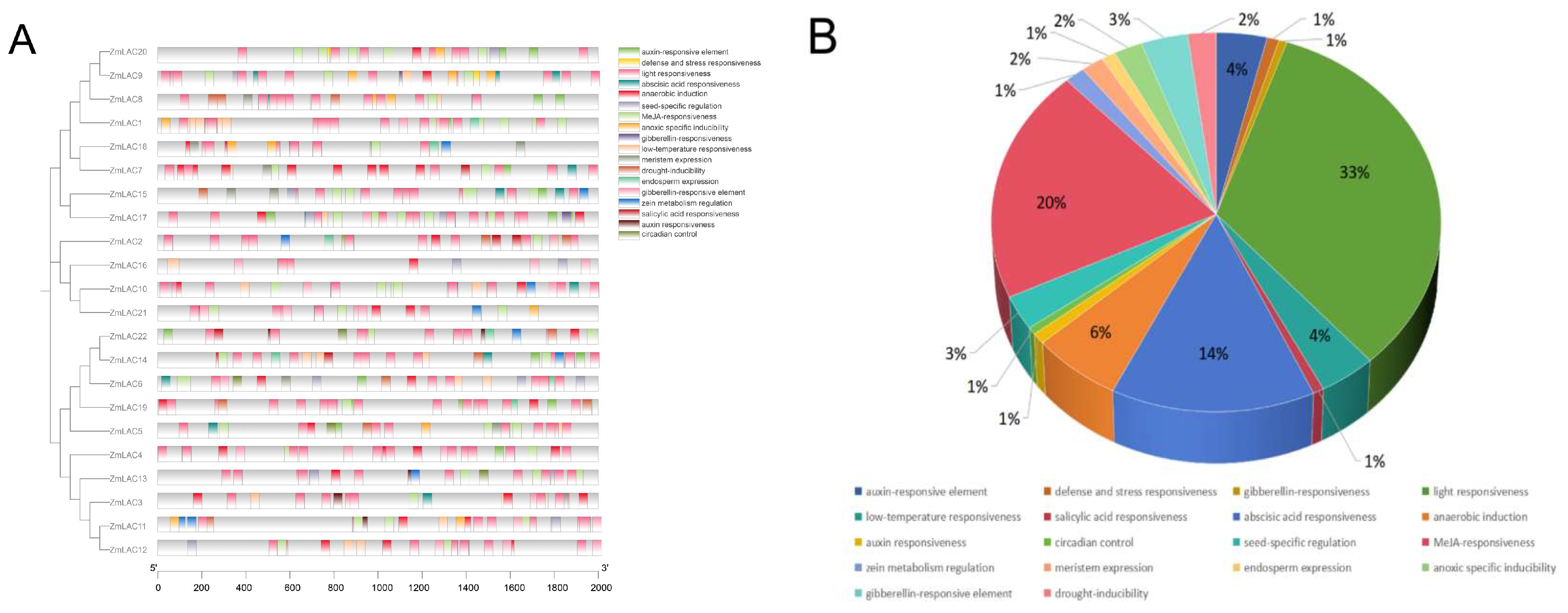Genes 15 00749 g005