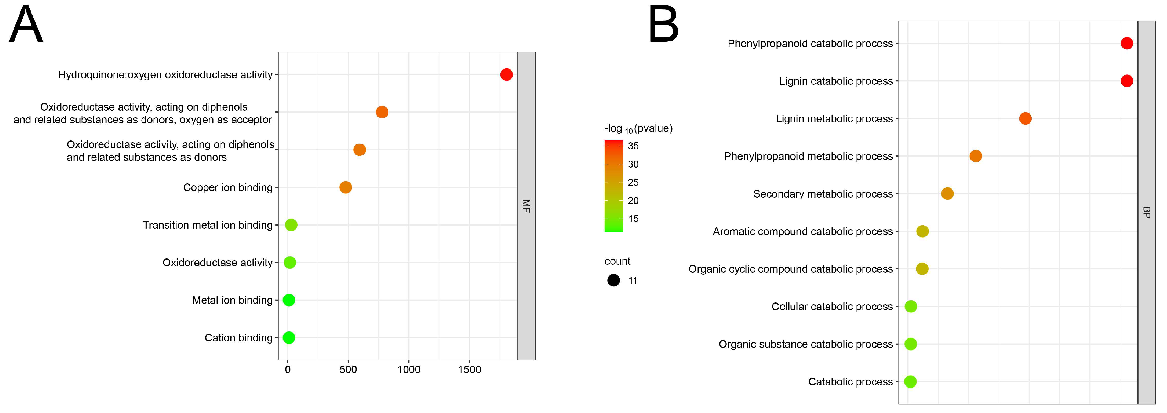 Genes 15 00749 g006