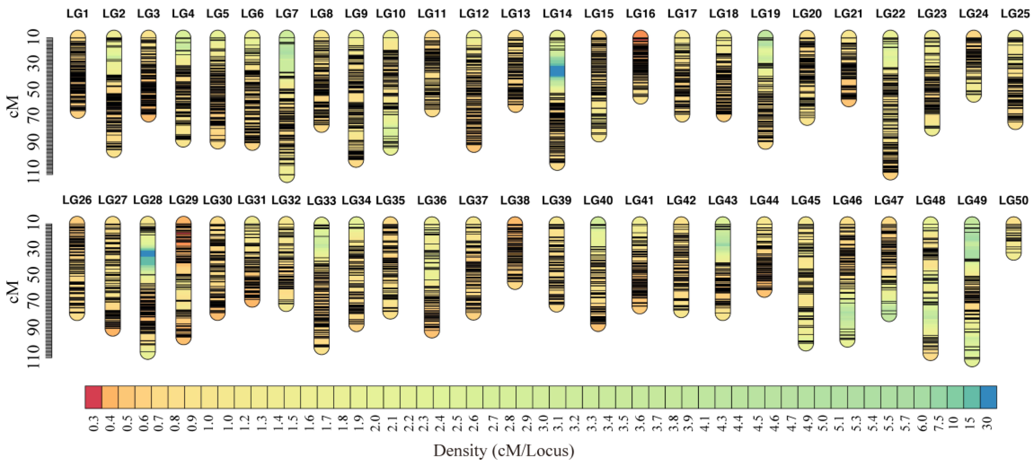 Genes 15 00751 g001