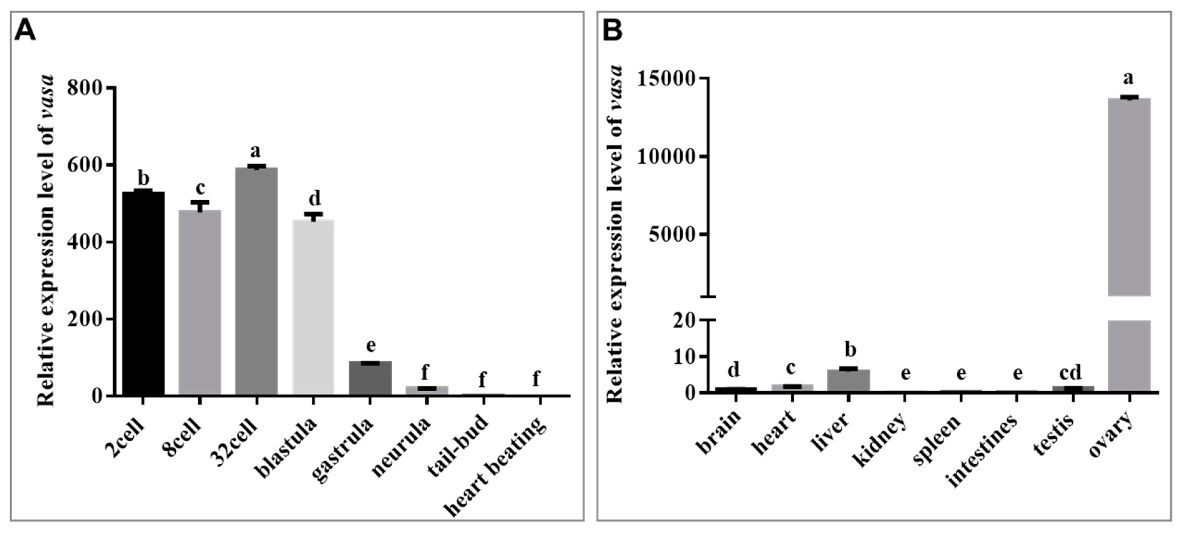 Genes 15 00756 g004