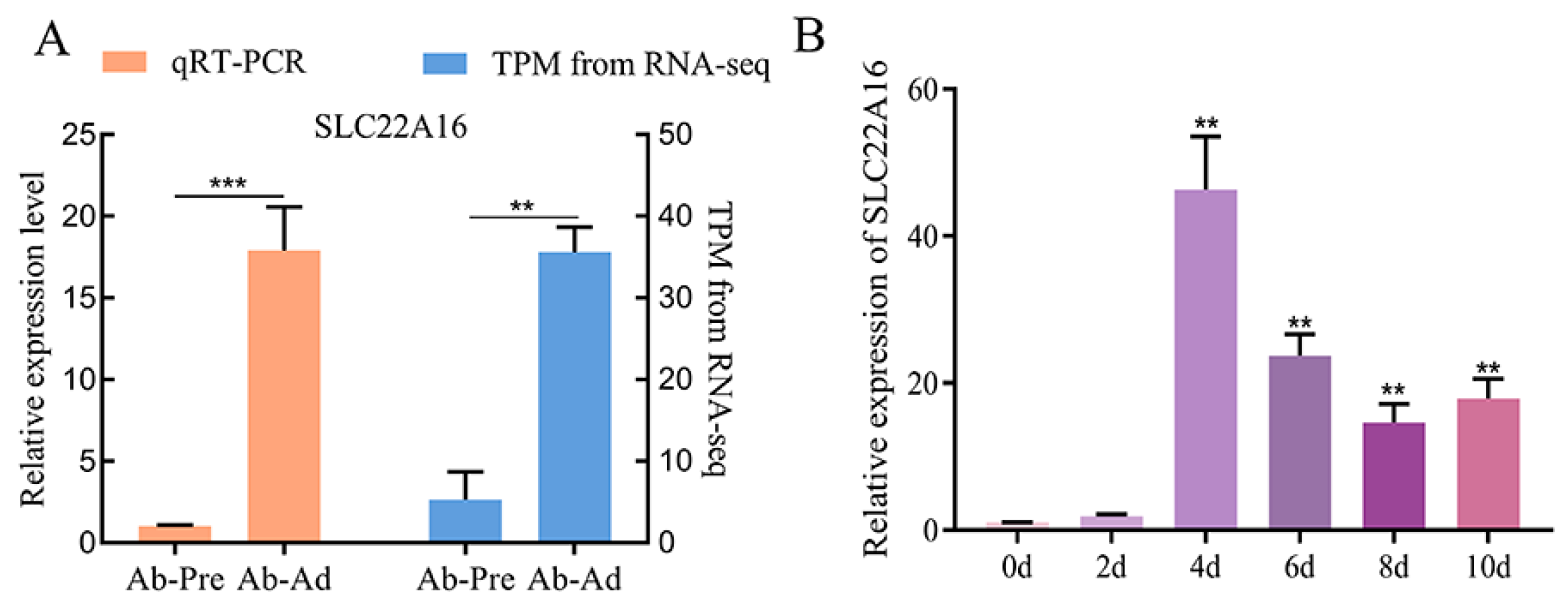 Genes 15 00758 g001