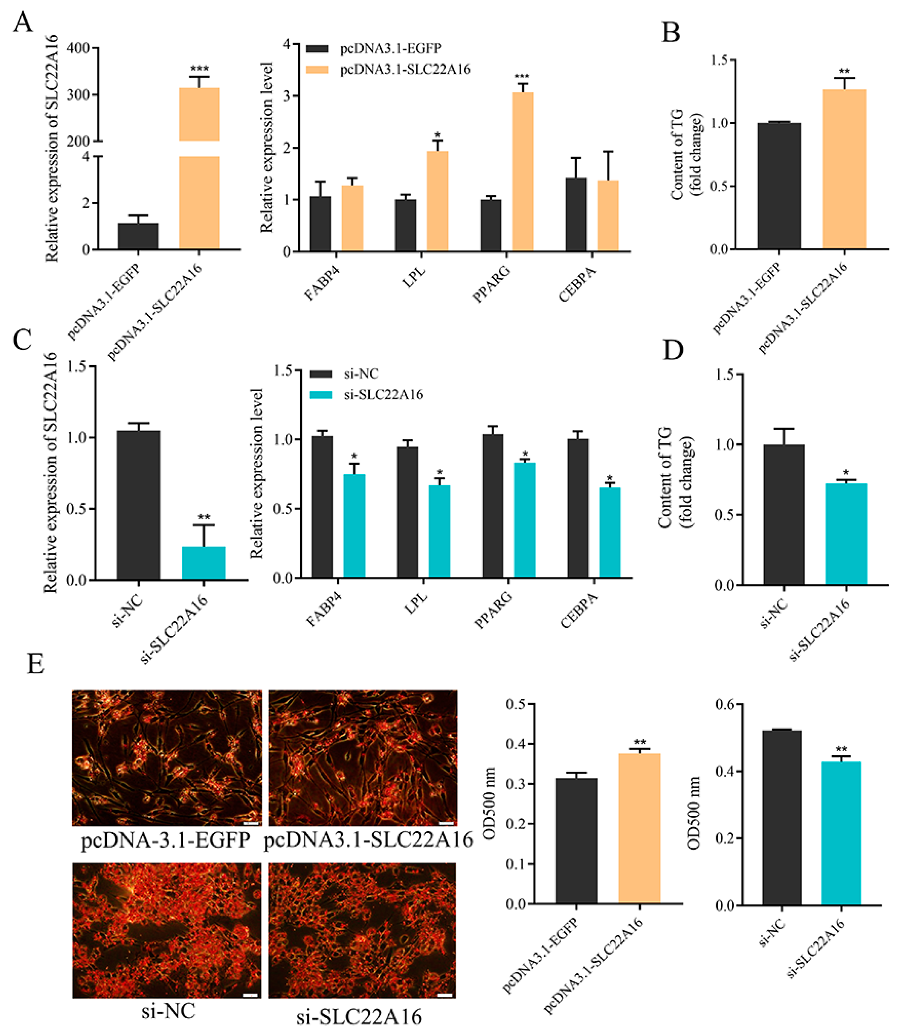 Genes 15 00758 g002