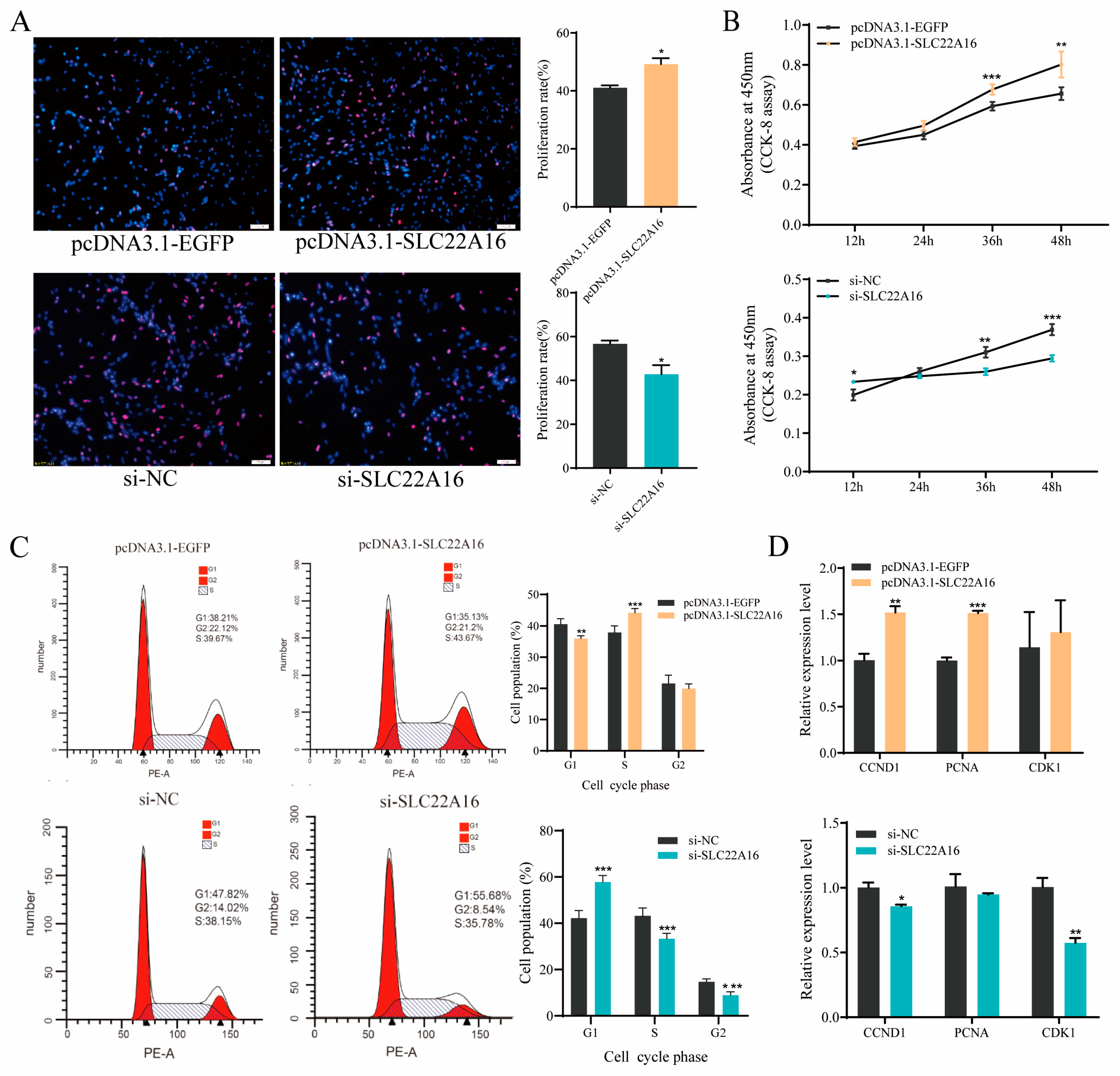 Genes 15 00758 g003