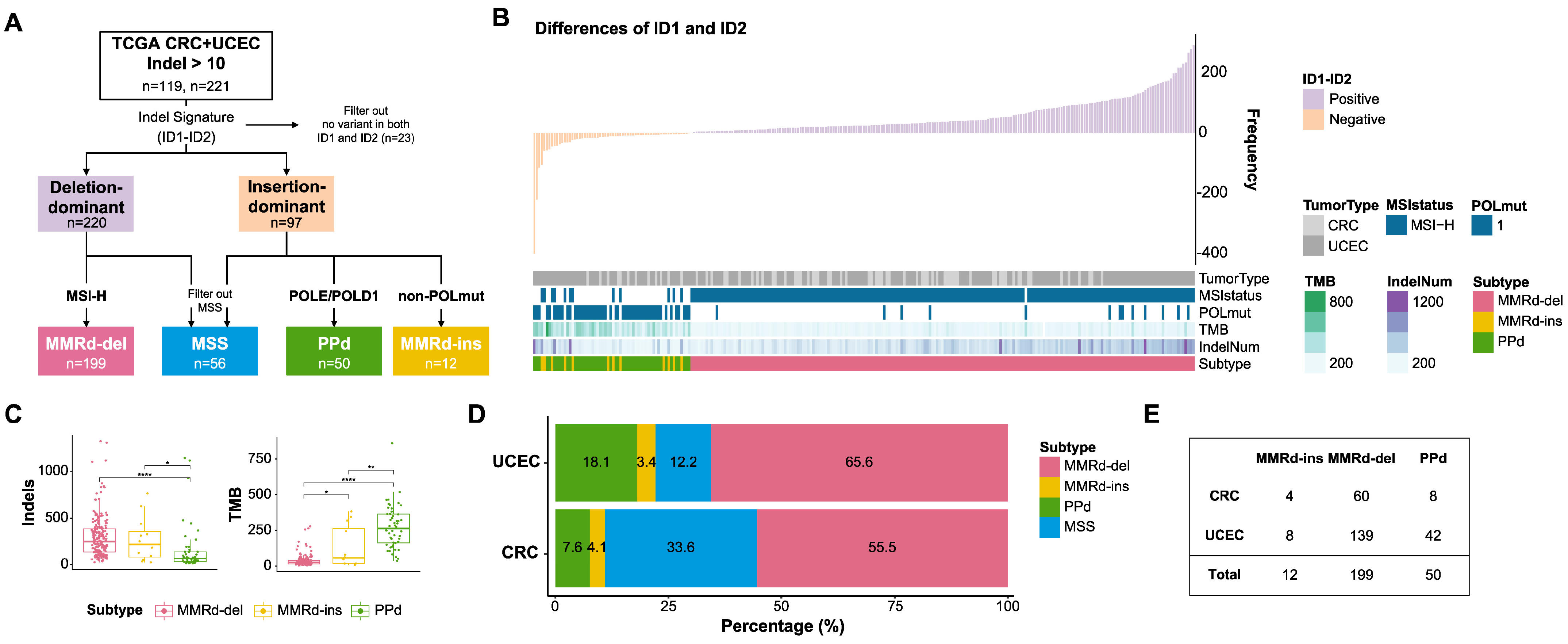 Genes 15 00770 g001