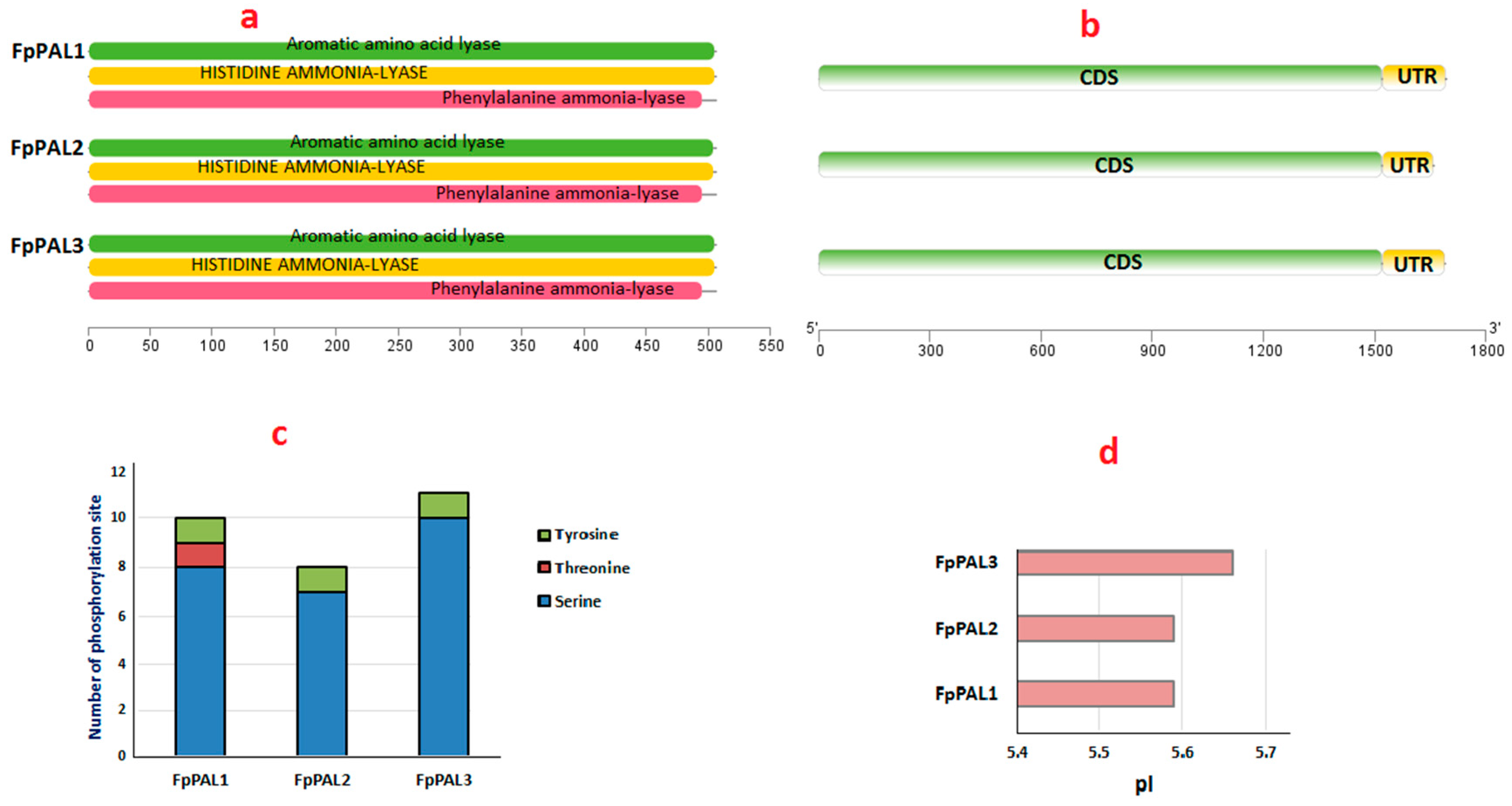 Genes 15 00771 g003
