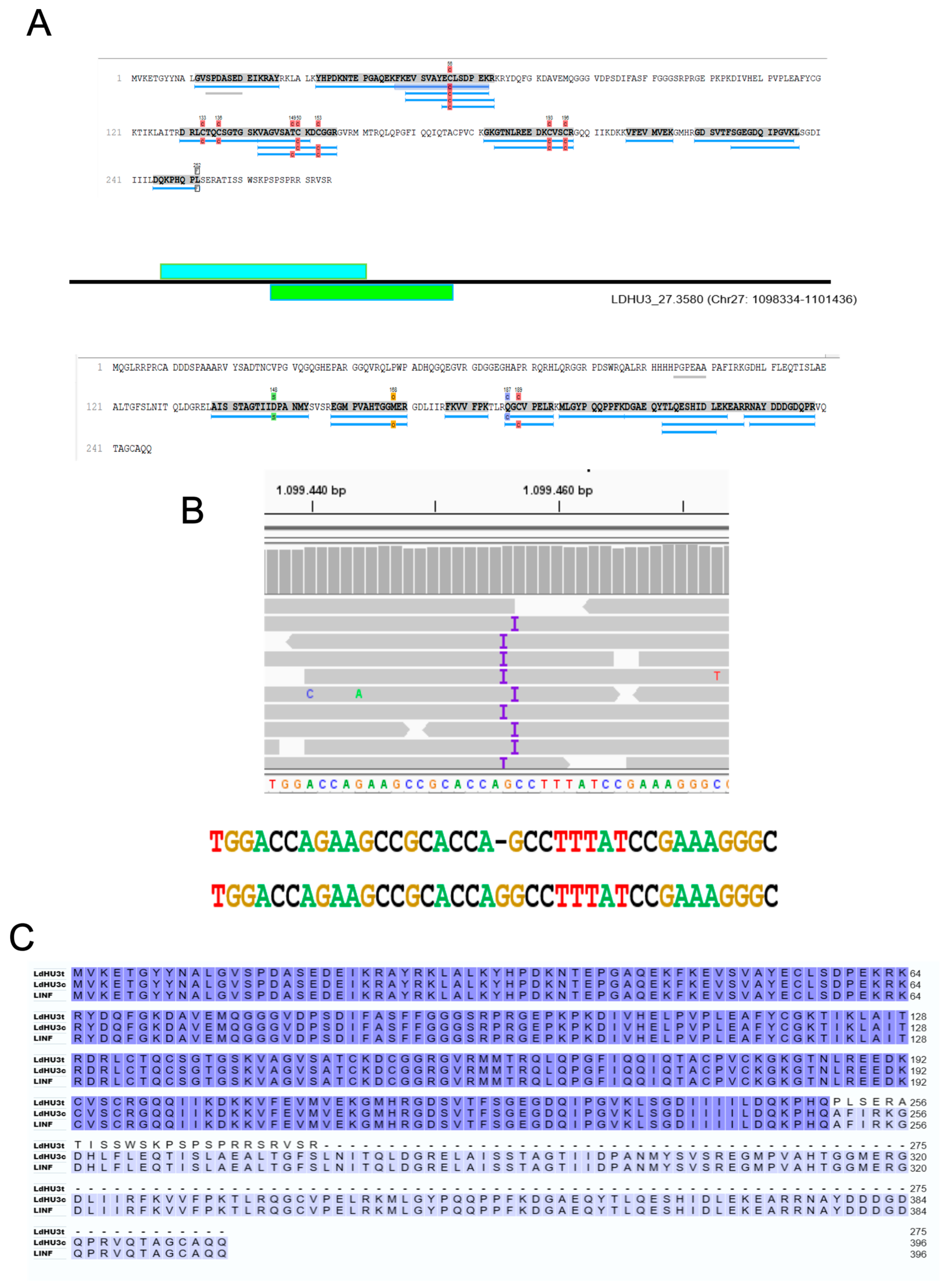 Genes 15 00775 g005