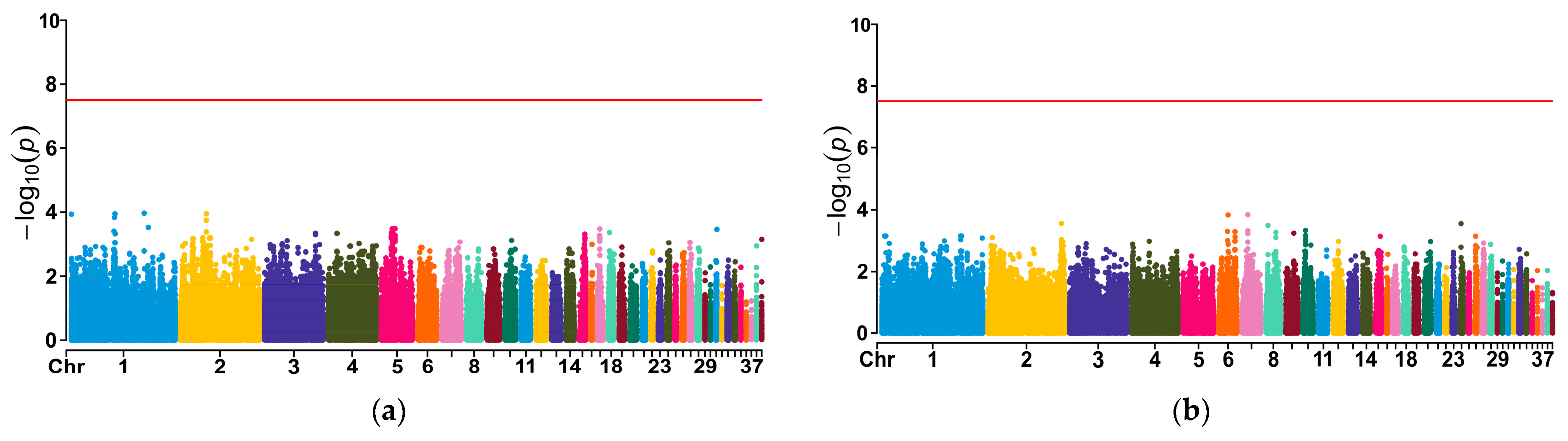 Genes 15 00796 g004a