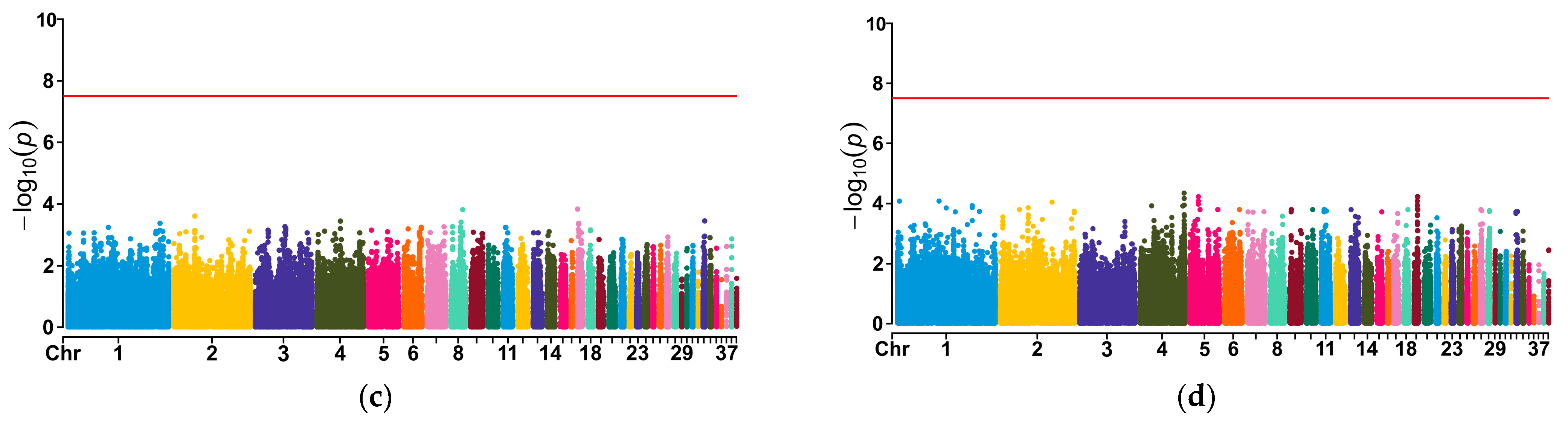 Genes 15 00796 g004b