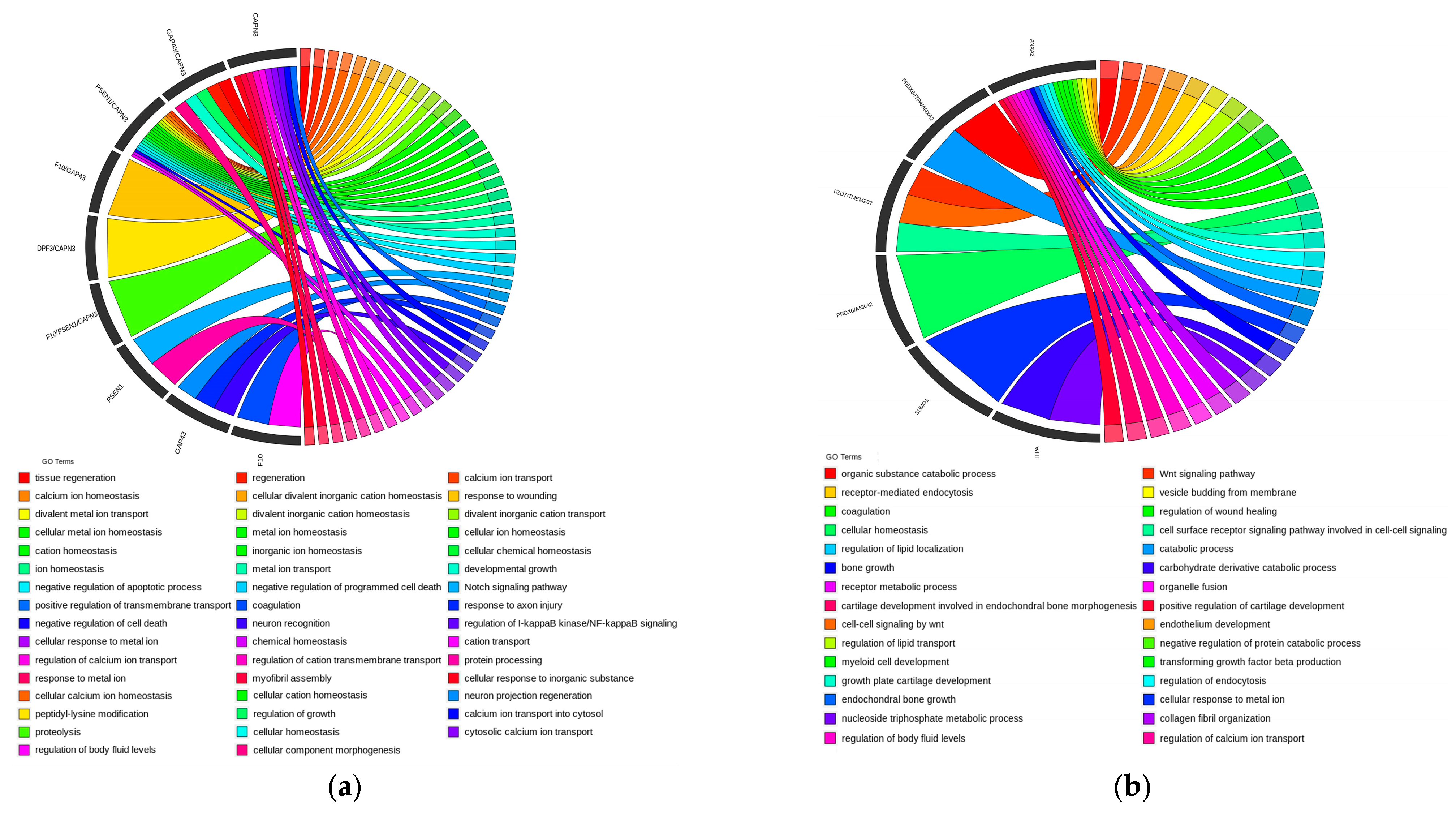 Genes 15 00796 g005a