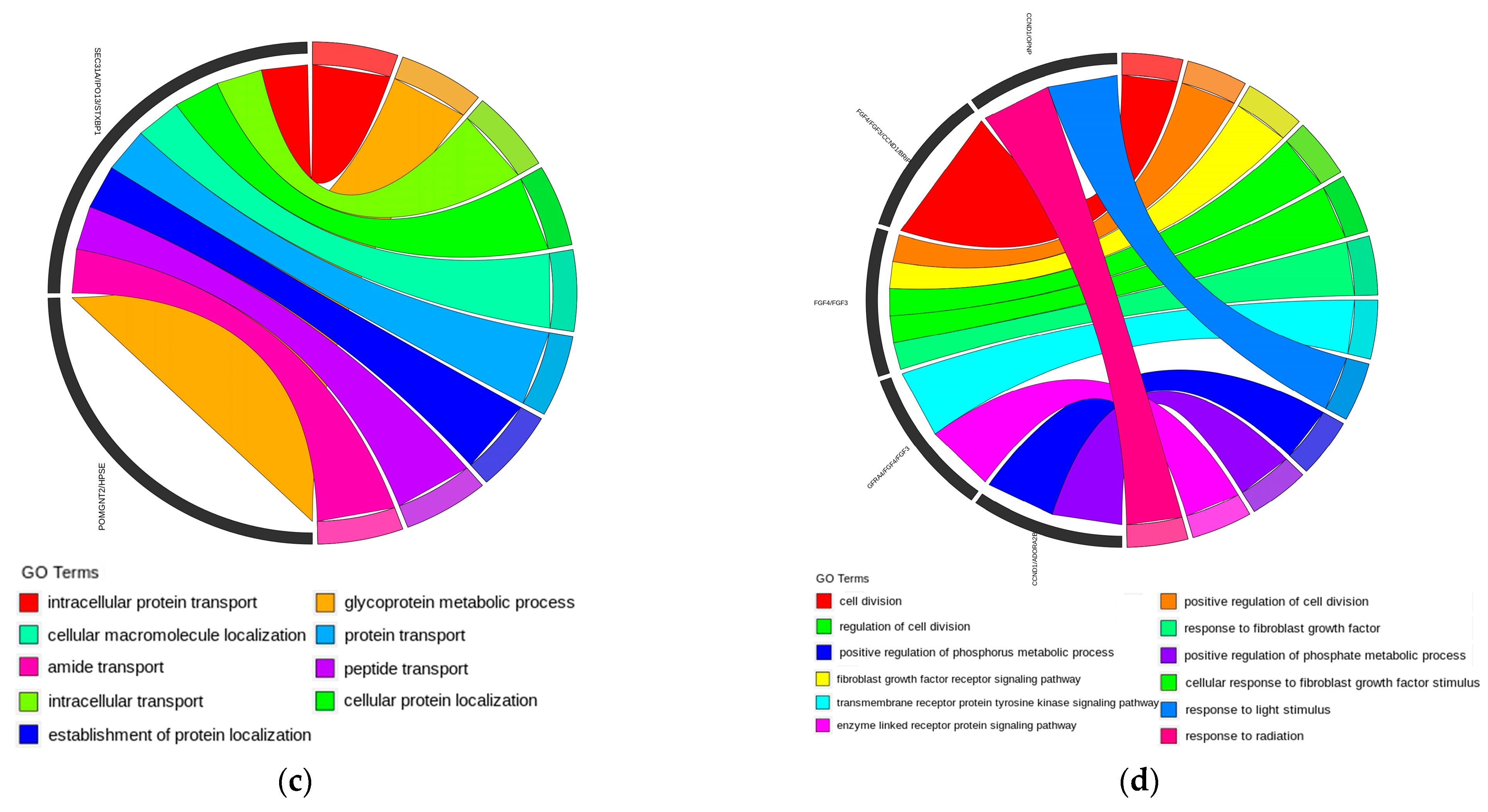 Genes 15 00796 g005b