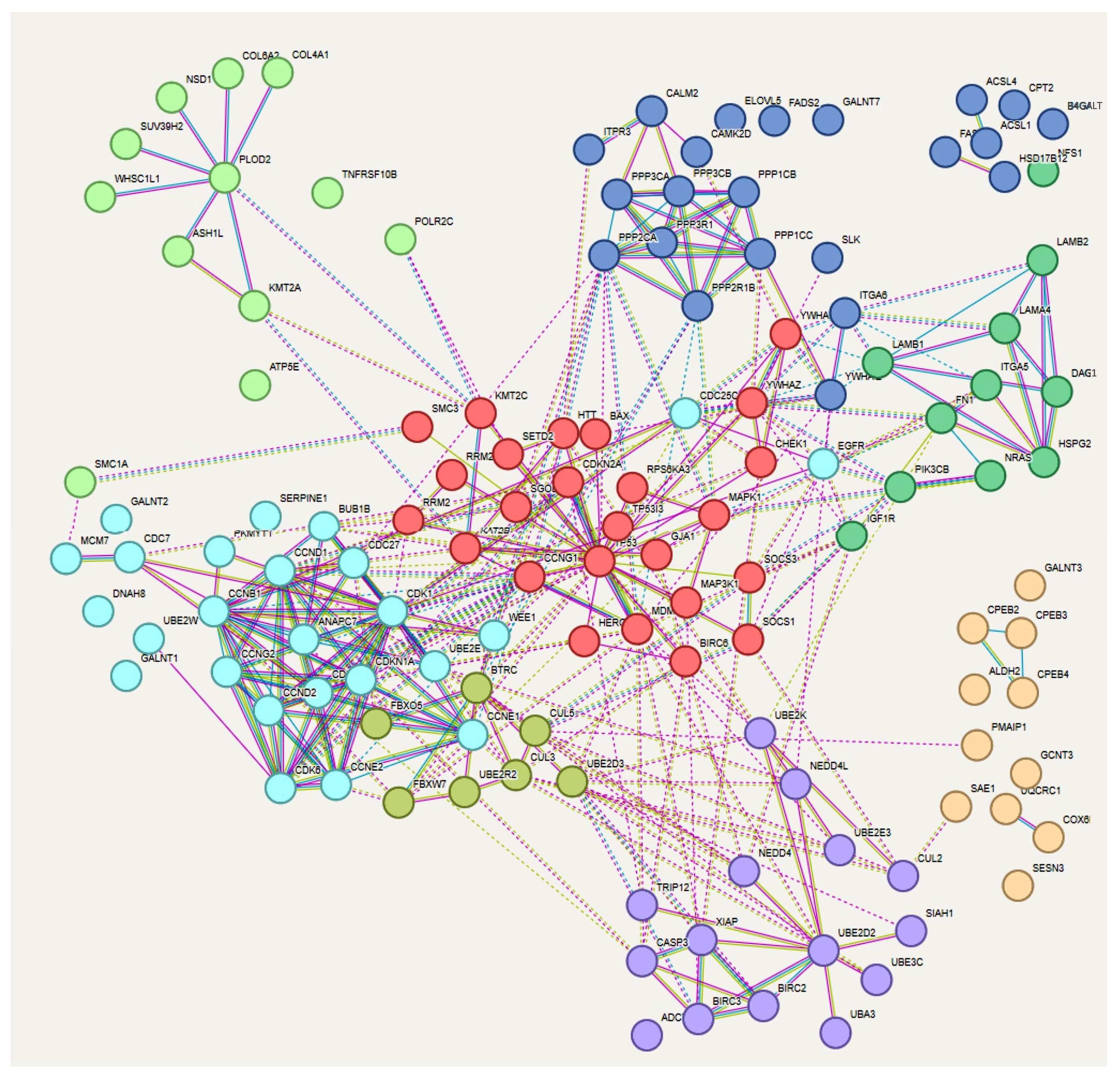 Genes 15 00820 g004