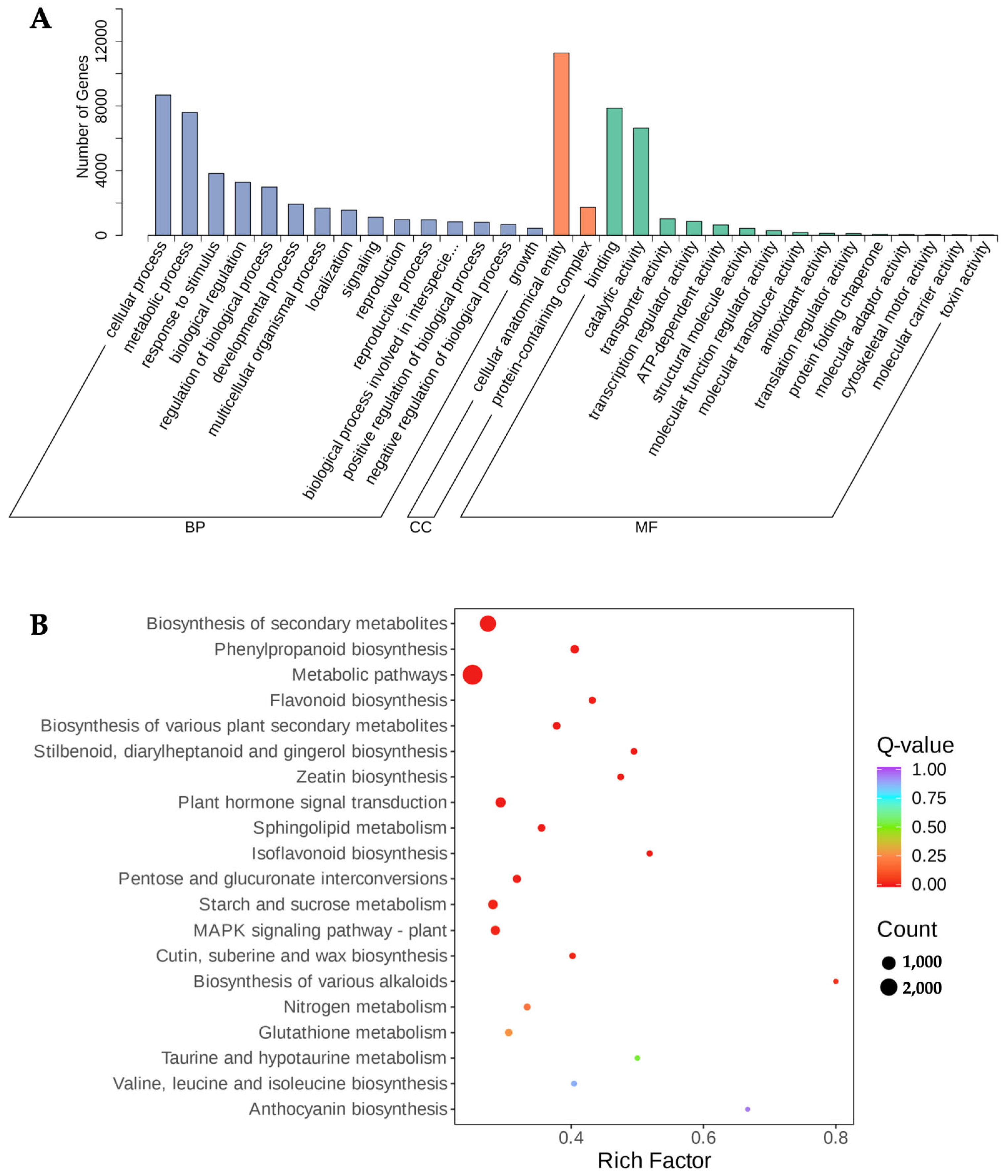 Genes 15 00828 g005