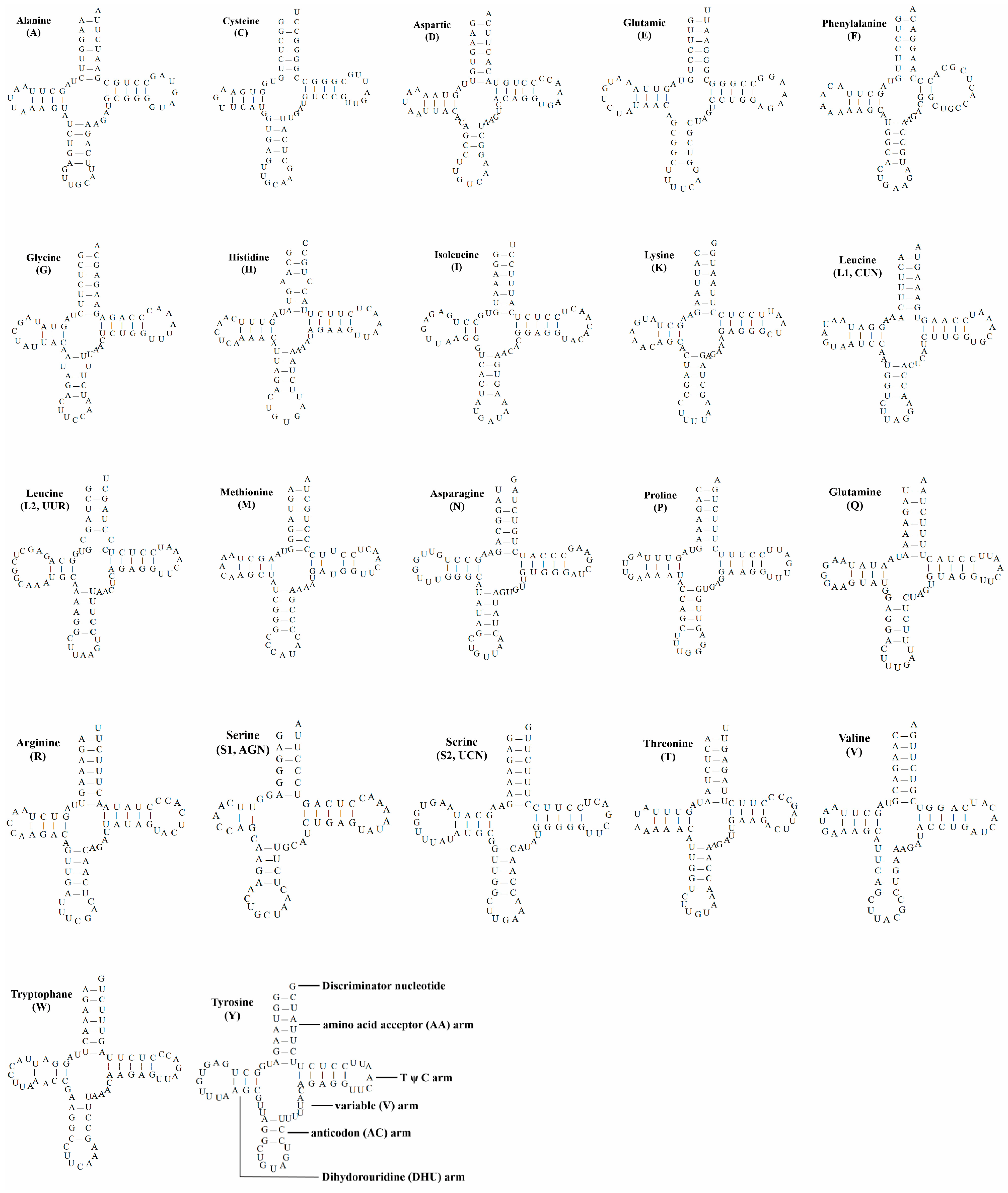 Genes 15 00830 g003 Genes 15 00830 g003