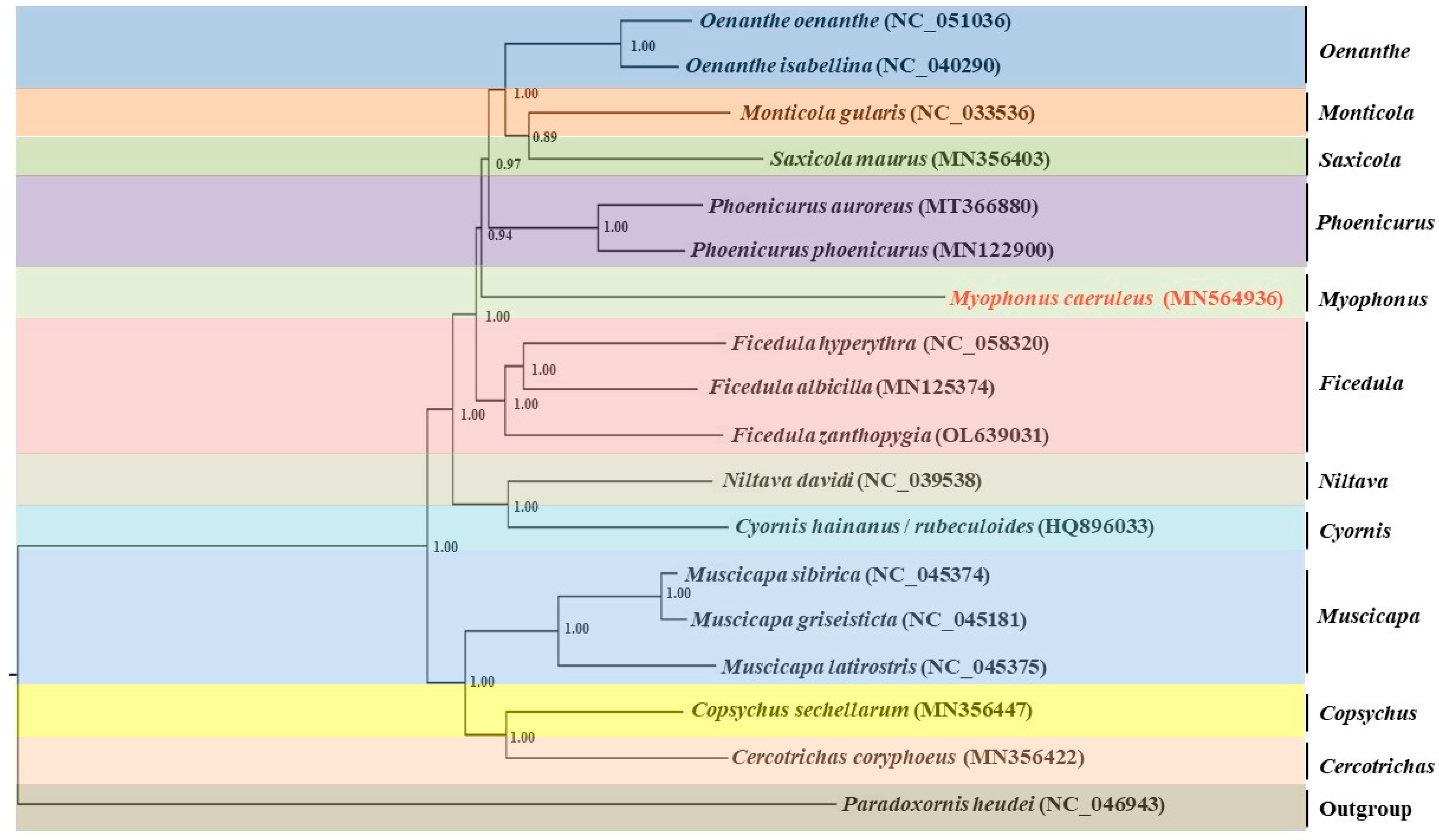Genes 15 00830 g005 Genes 15 00830 g005