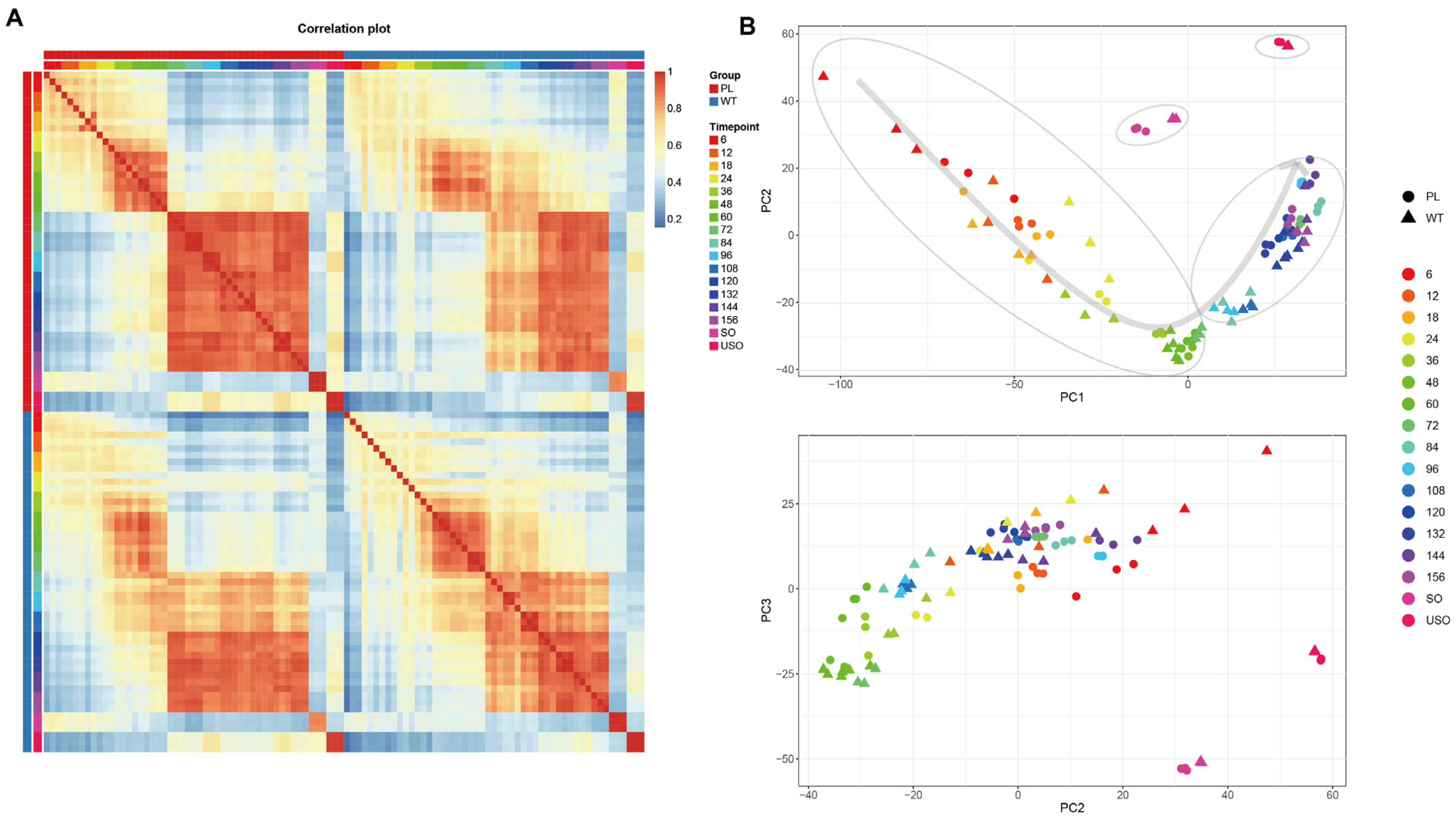 Genes 15 00831 g001