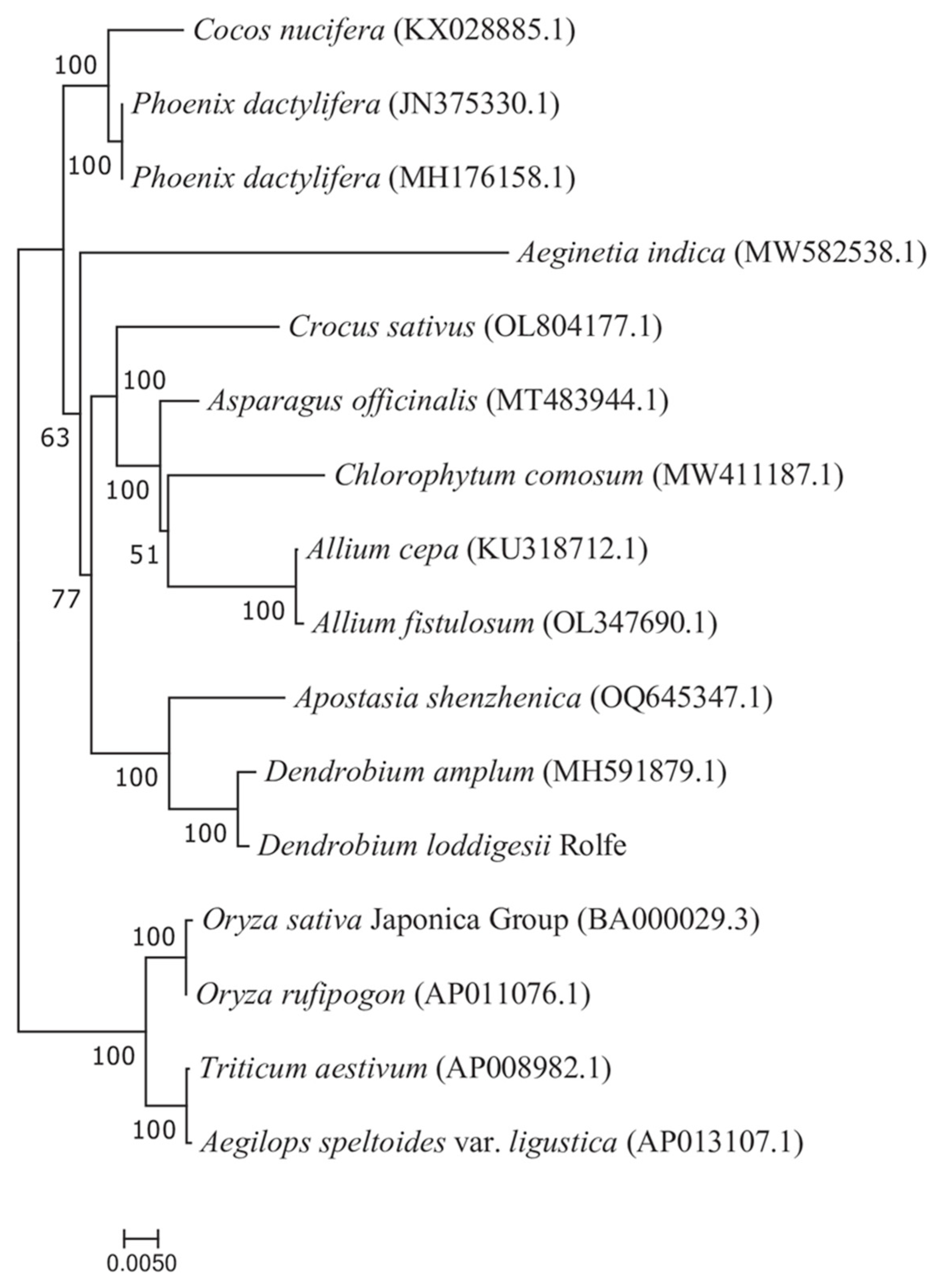 Genes 15 00834 g008 Genes 15 00834 g008