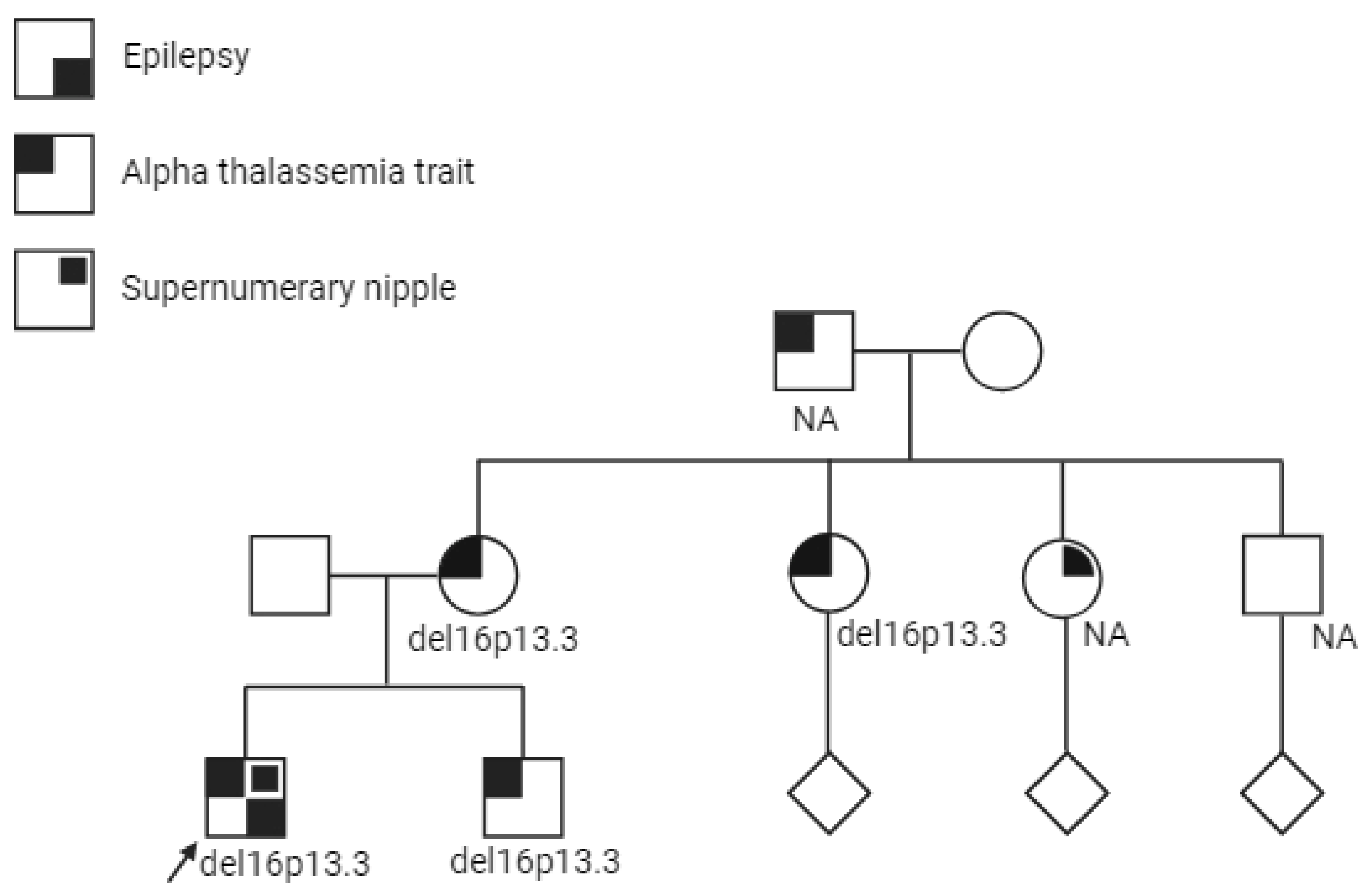 Genes 15 00836 g001