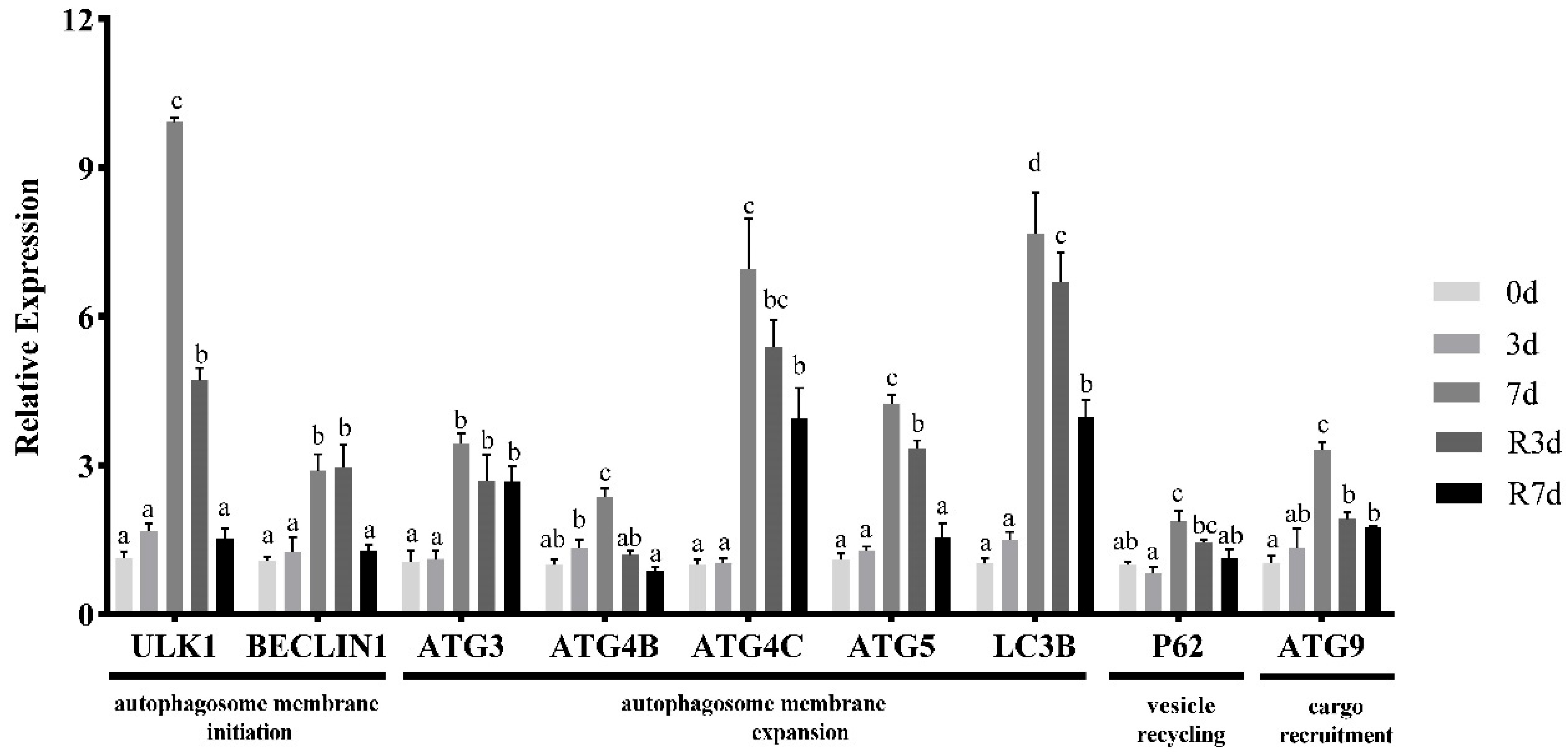 Genes 15 00840 g004