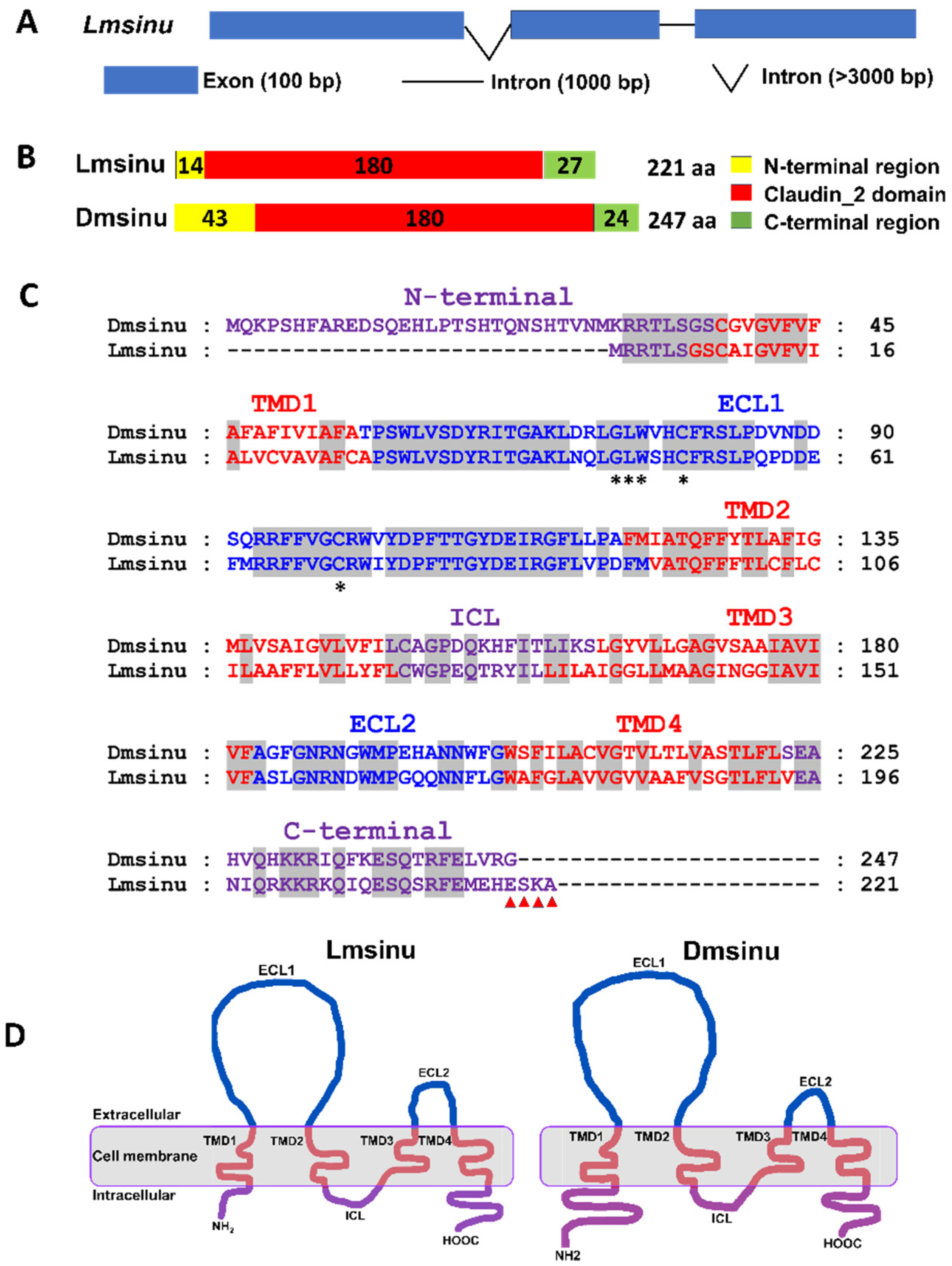 Genes 15 00850 g001