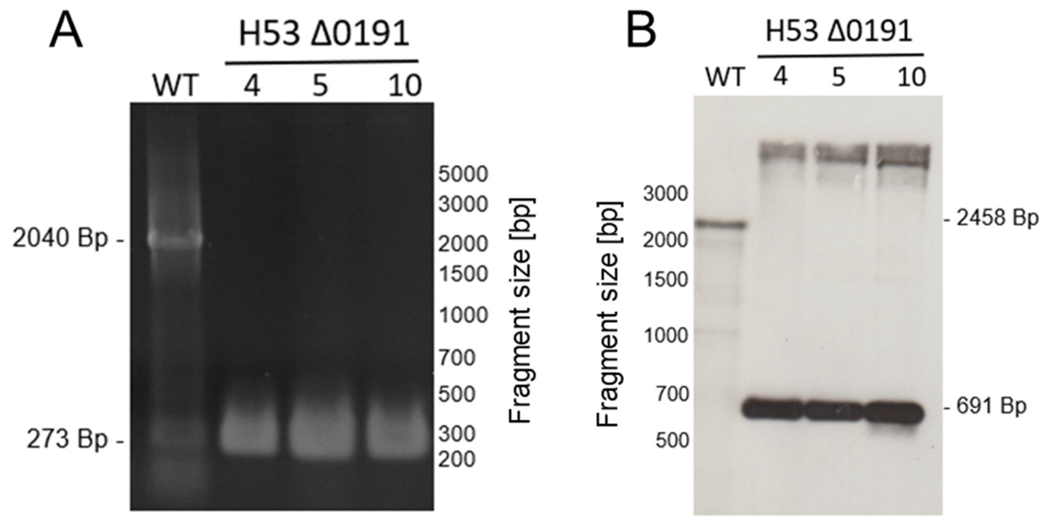 Genes 15 00861 g002 Genes 15 00861 g002