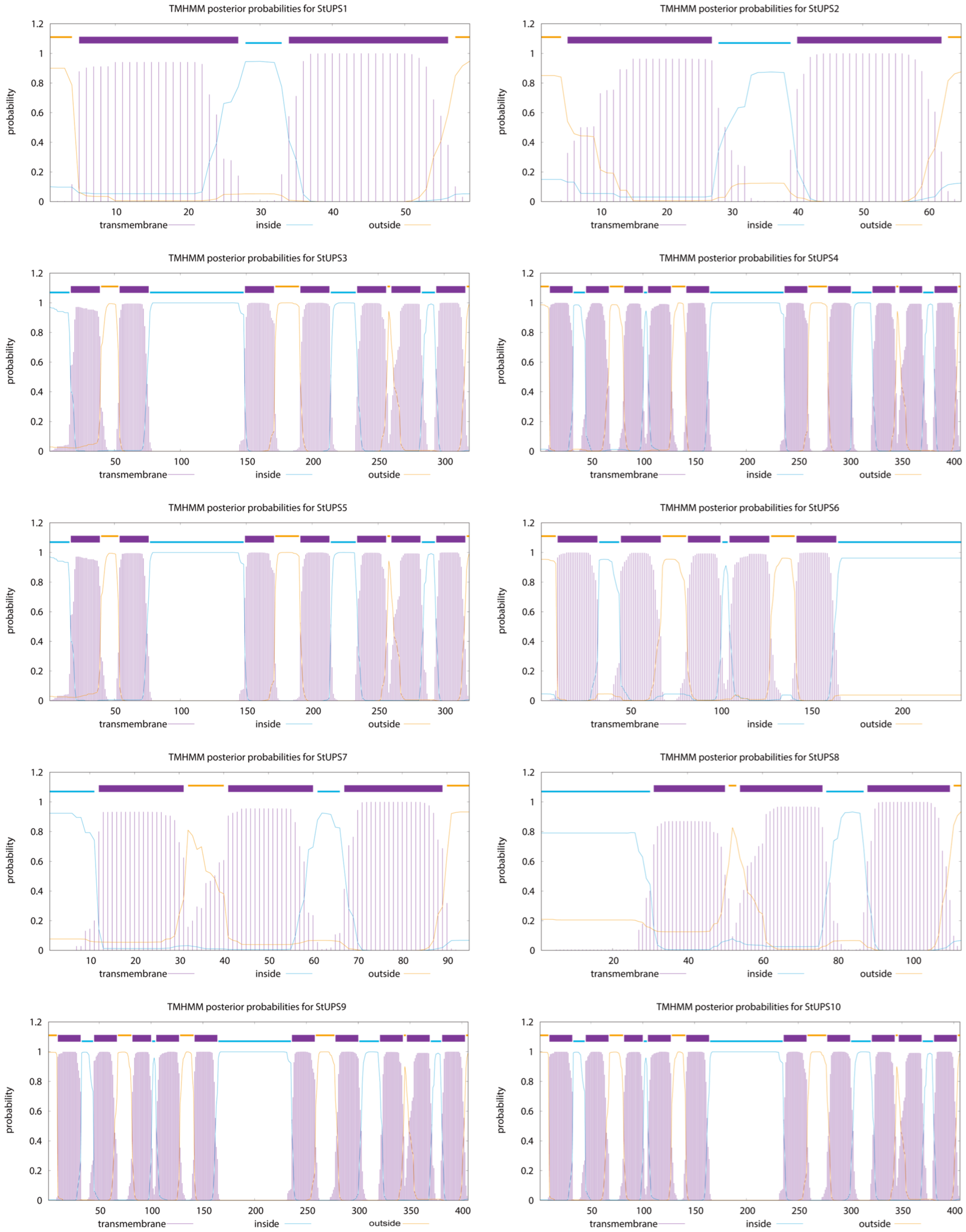 Genes 15 00870 g001 Genes 15 00870 g001