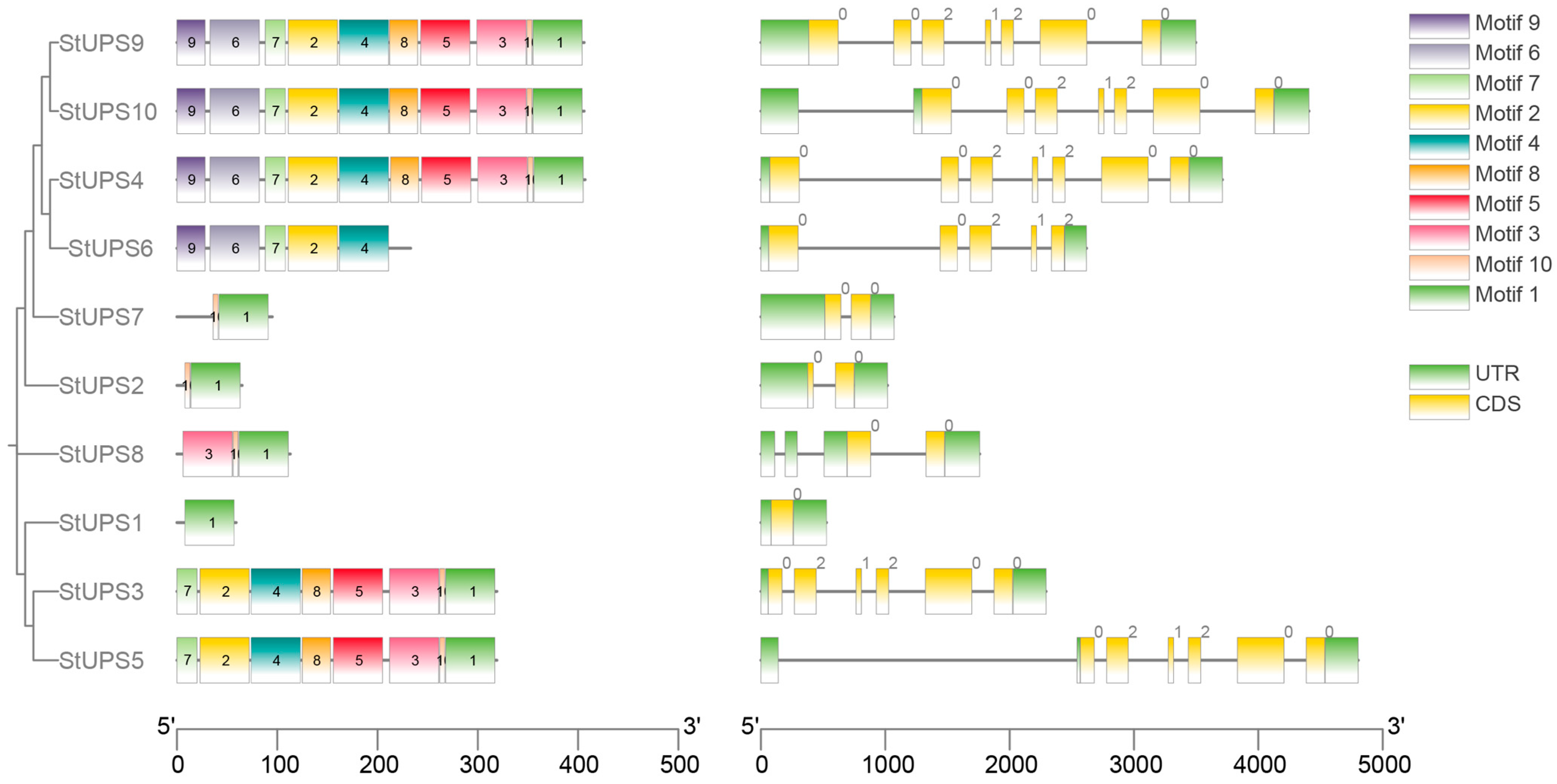 Genes 15 00870 g003 Genes 15 00870 g003