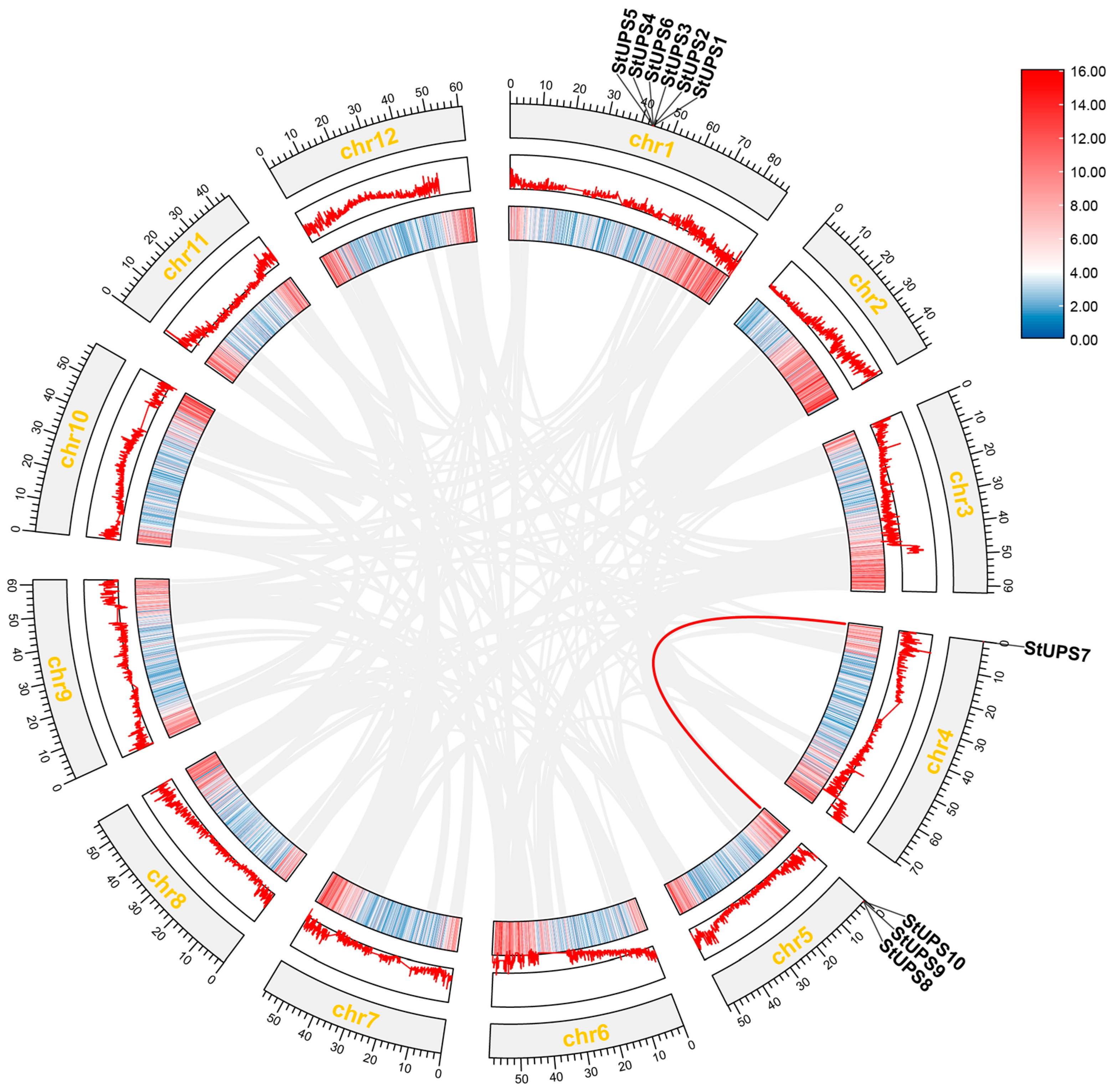 Genes 15 00870 g005 Genes 15 00870 g005